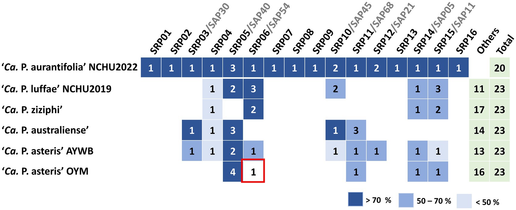 Matrix chart displaying gene presence among six pathogen strains across several loci labeled SRP01 to SRP16 and Others. Dark blue indicates over seventy percent presence, medium blue fifty to seventy percent, and light blue less than fifty percent. Individual values range from one to four, with totals listed in adjacent columns.