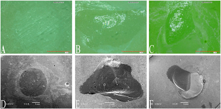 Six microscopic images labeled A to F. Images A, B, and C display green-tinted organic material with varying textures and formations. Images D, E, and F are grayscale, showing detailed surface structures with different shapes and indentations. Each image includes a scale for reference.