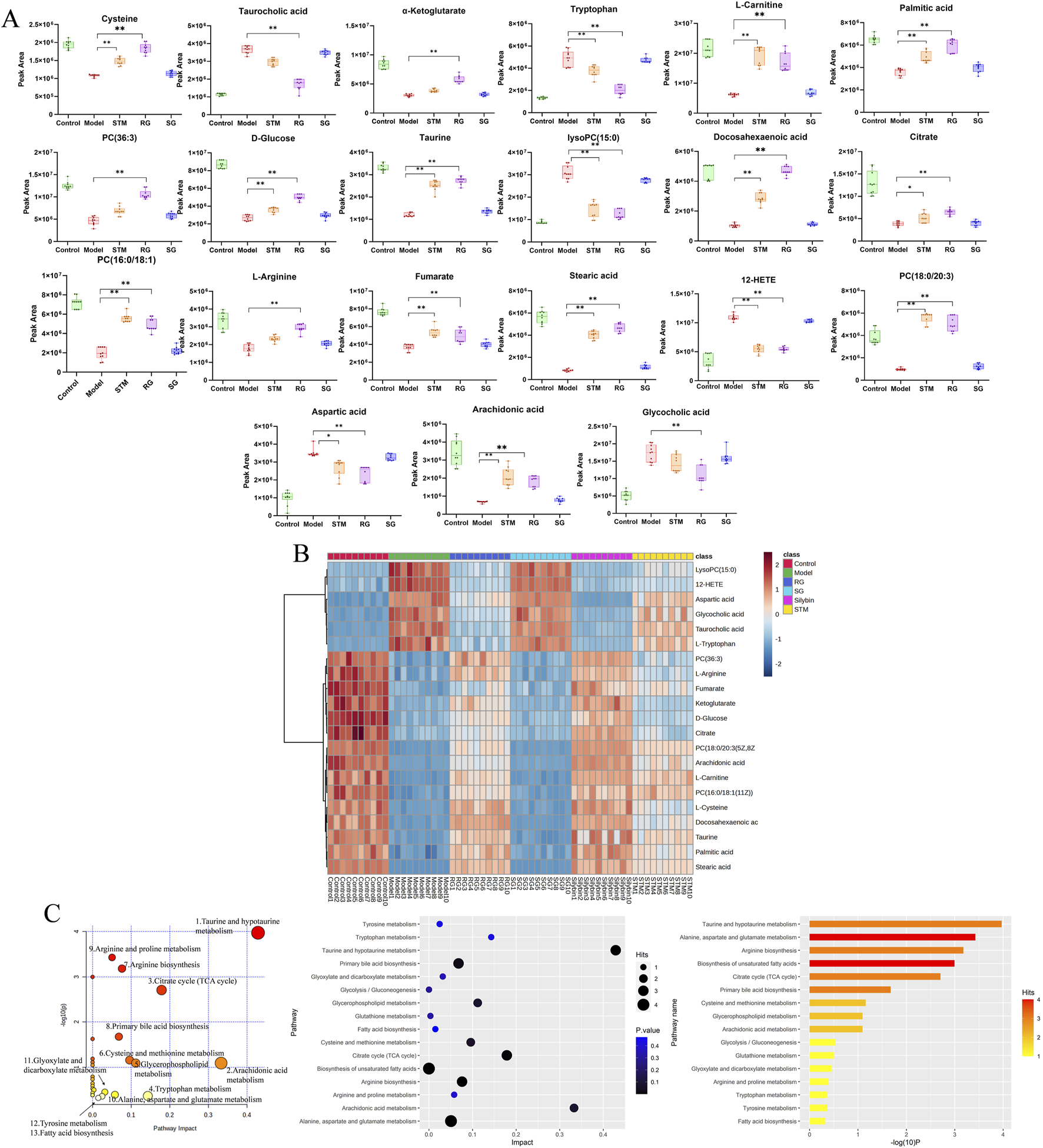 The image contains multiple data visualizations. Panel A shows box plots of various metabolites like cysteine, tryptophan, and others across different experimental groups such as control, model, STM, HS, and SG. Panel B is a heatmap displaying changes in metabolite levels across these groups, with a color gradient from blue (low expression) to red (high expression). Panel C includes three visualizations: a pathway impact scatter plot, a bubble plot showing pathway hits and p-values, and a bar graph depicting pathway significance, with colors indicating different impact levels.