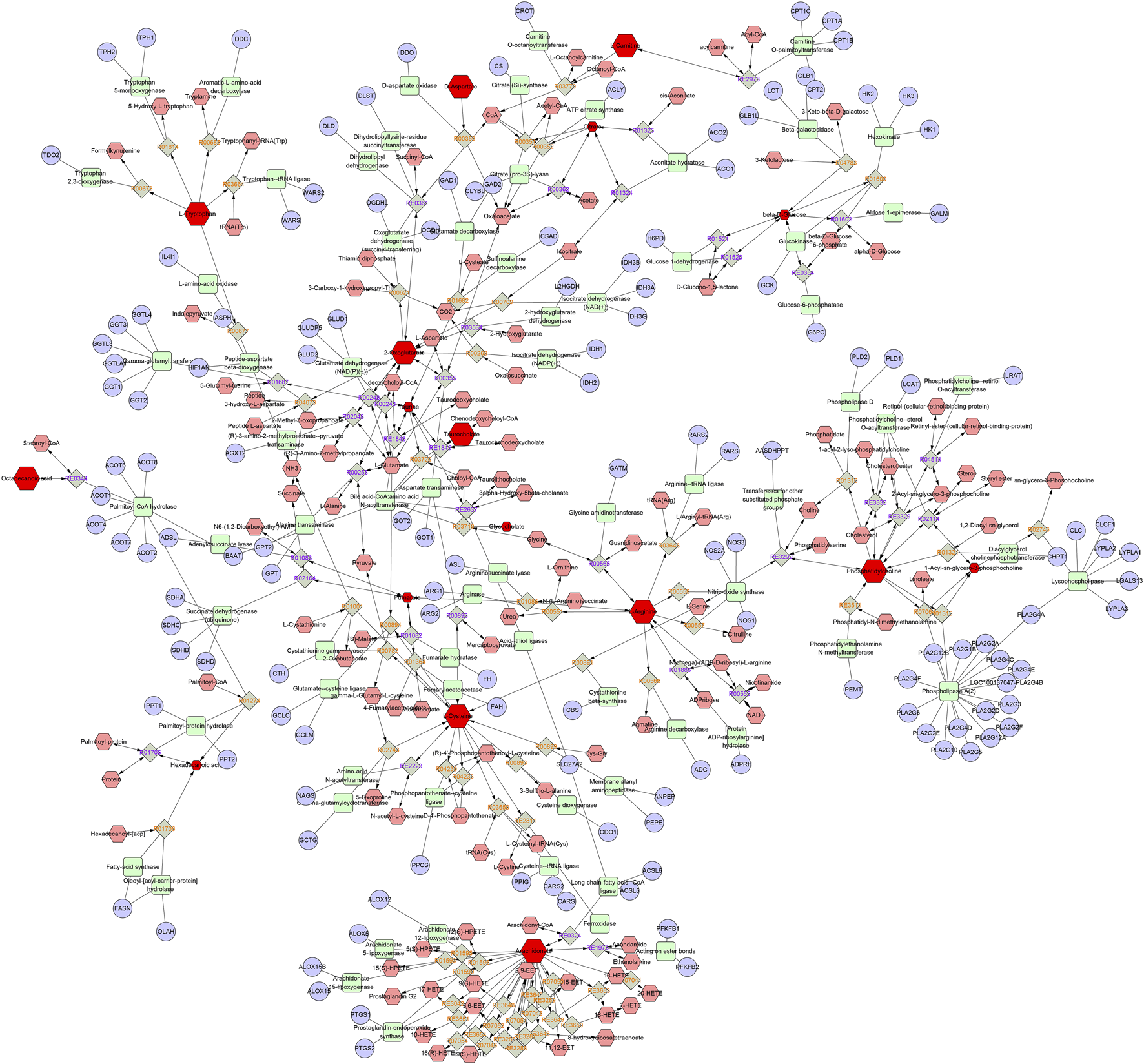 Metabolic pathway map illustrating interconnected networks of biochemical reactions. Various colored nodes represent metabolites and enzymes, while arrows depict reaction flows. Red hexagons indicate central metabolites, green squares represent reactions, and small circles reference auxiliary components.