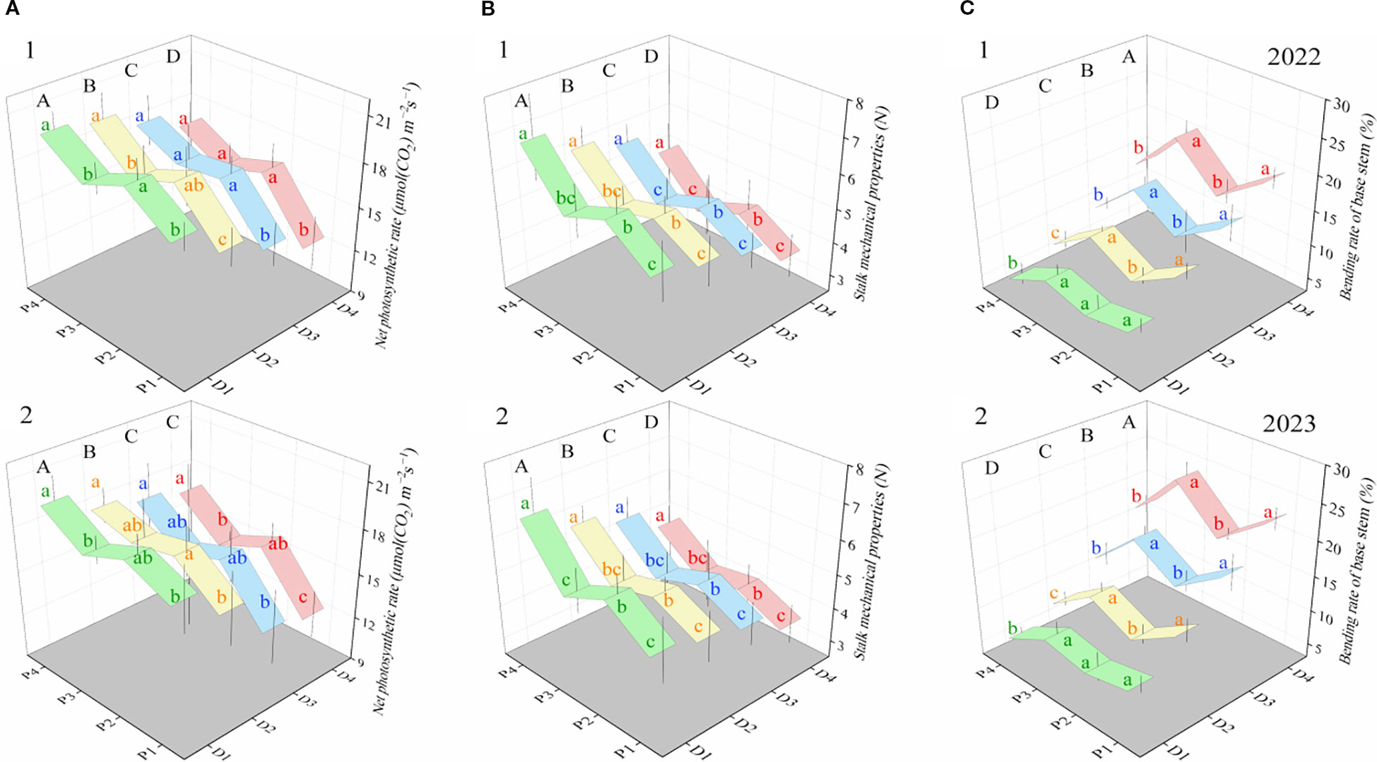 Three sets of 3D bar charts labeled A, B, and C. Chart A displays net photosynthetic rates in different colors, with data grouped under headers A, B, C, D for 2022 and 2023. Chart B shows stalk mechanical properties and uses similar color coding and groupings. Chart C illustrates the bending rate of base stems for both years. Each chart is divided into sections labeled P1-P4 and D1-D4, with colored bands marked by letters like a, b, c.
