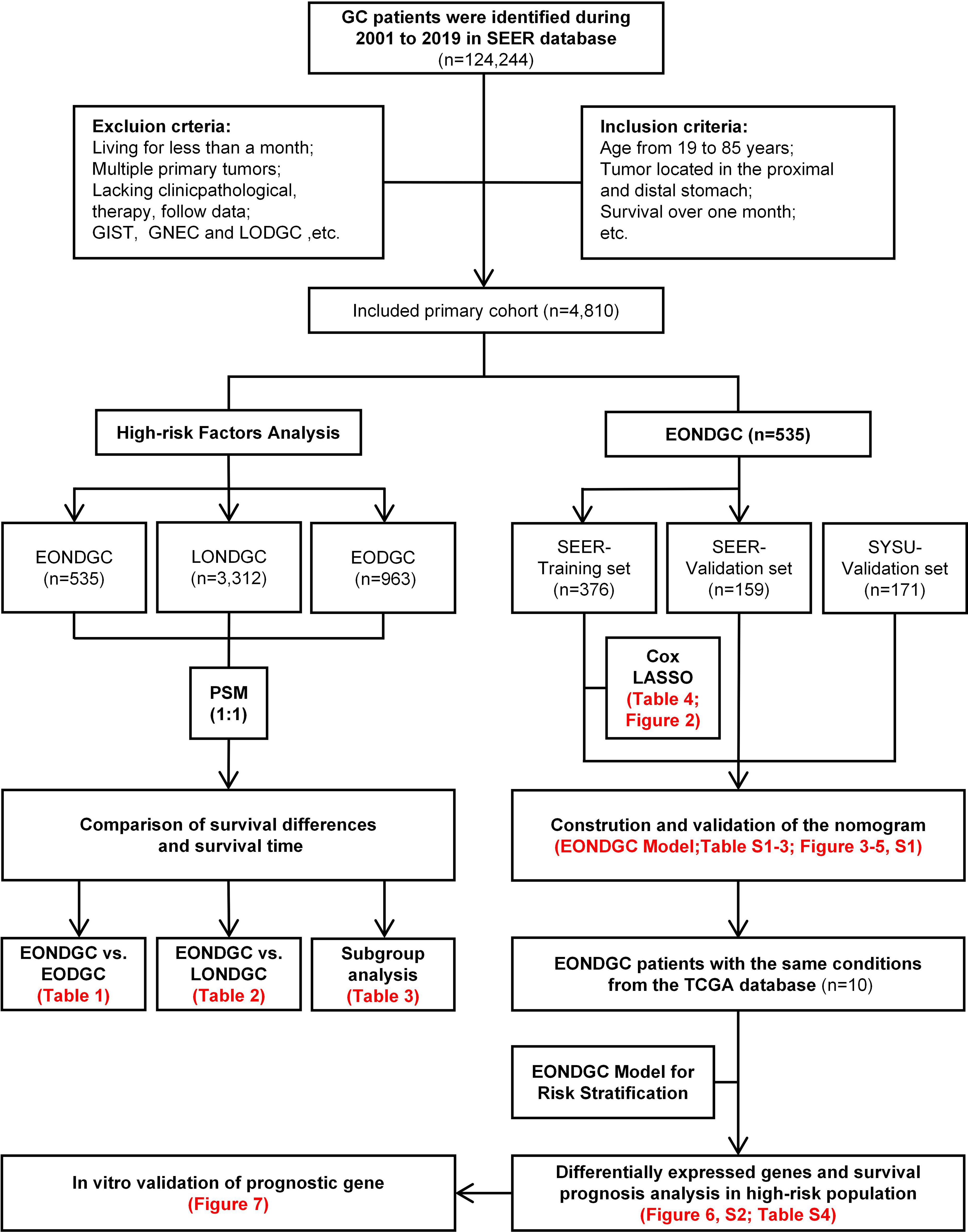 Flowchart depicting the study design and process of analyzing gastric cancer (GC) patients from the SEER database. Initially, 124,244 patients were identified between 2001 and 2019. Exclusion criteria included short survival and lack of data, reducing the cohort to 4,810. The cohort is divided into different groups, including EONDGC and LONDGC, for high-risk factors analysis. The chart details steps like comparison of survival differences, construction of a nomogram, and identification of prognostic genes, referencing specific tables and figures for detailed information.