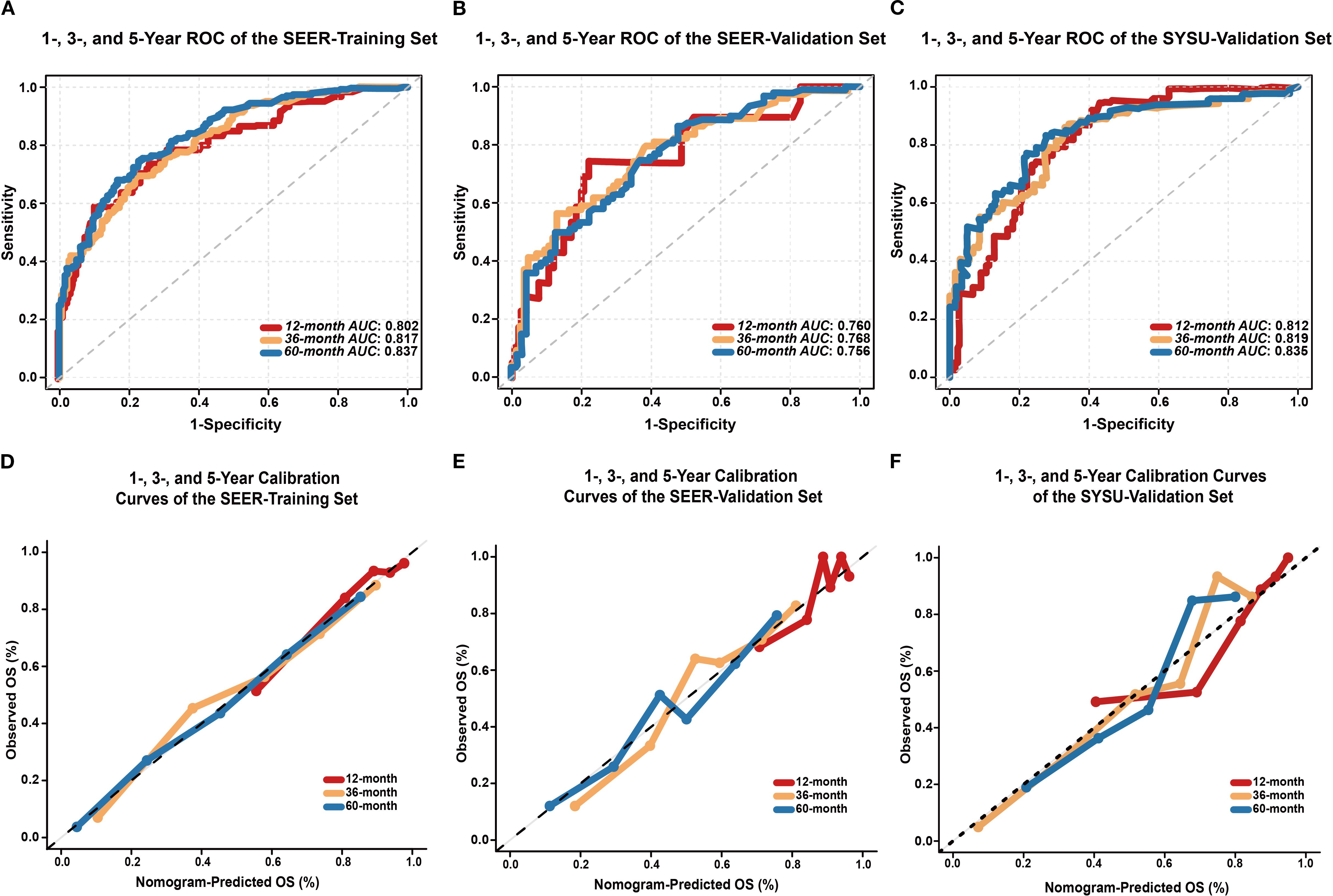 Receiver Operating Characteristic (ROC) and calibration curves for one-, three-, and five-year models. Panels A, B, and C show ROC curves for SEER-Training, SEER-Validation, and SYSU-Validation sets, respectively, illustrating sensitivity versus one minus specificity. AUC values at 12, 36, and 60 months are detailed. Panels D, E, and F display corresponding calibration curves, plotting observed versus nomogram-predicted overall survival (OS) percentages. Each panel uses red, orange, and blue lines for 12-, 36-, and 60-month models, respectively.