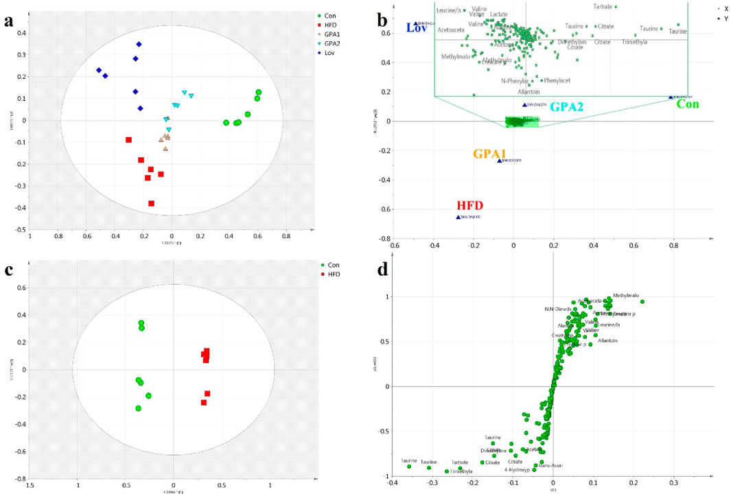 Four-panel chart showing PCA and PLS-DA analyses. Panel (a) depicts a PCA score plot with samples labeled as Con, HFD, GPA1, GPA2, and Lov using different shapes and colors. Panel (b) shows a 3D PLS-DA score plot separating groups by metabolites. Panel (c) presents another PCA plot distinguishing Con and HFD groups. Panel (d) features a loading plot indicating metabolites contributing to group separations. Label colors correspond to sample groups.