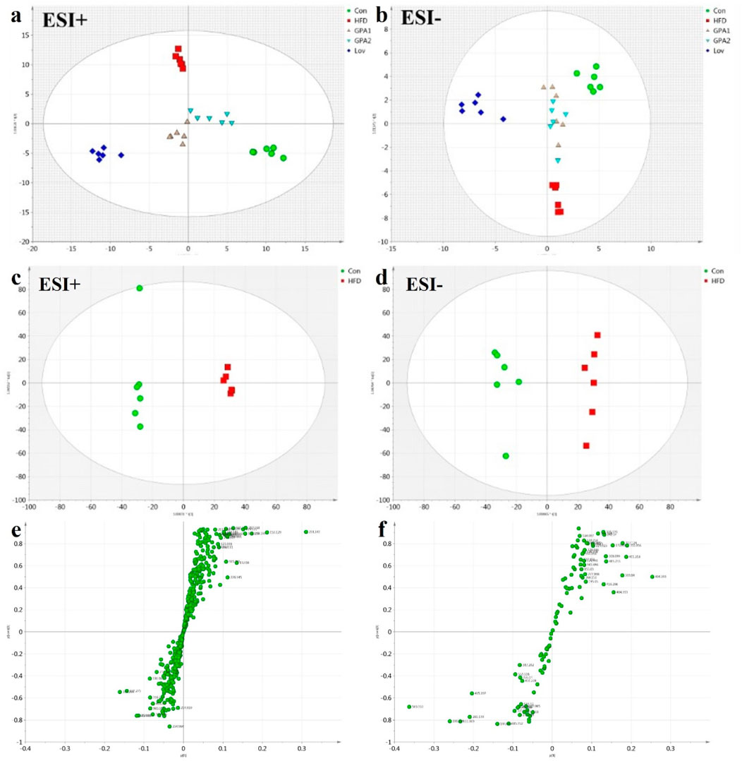 Scatter plots labeled a to f display data differentiation under ESI positive and negative conditions. Panels a and b show multiple colored clusters based on treatment groups such as Con, HFD, GF21, GPA1, GPA2, and Lov. Panels c and d depict grouped green and red points for Con and HFD. Panels e and f show S-plots with labeled green data points.