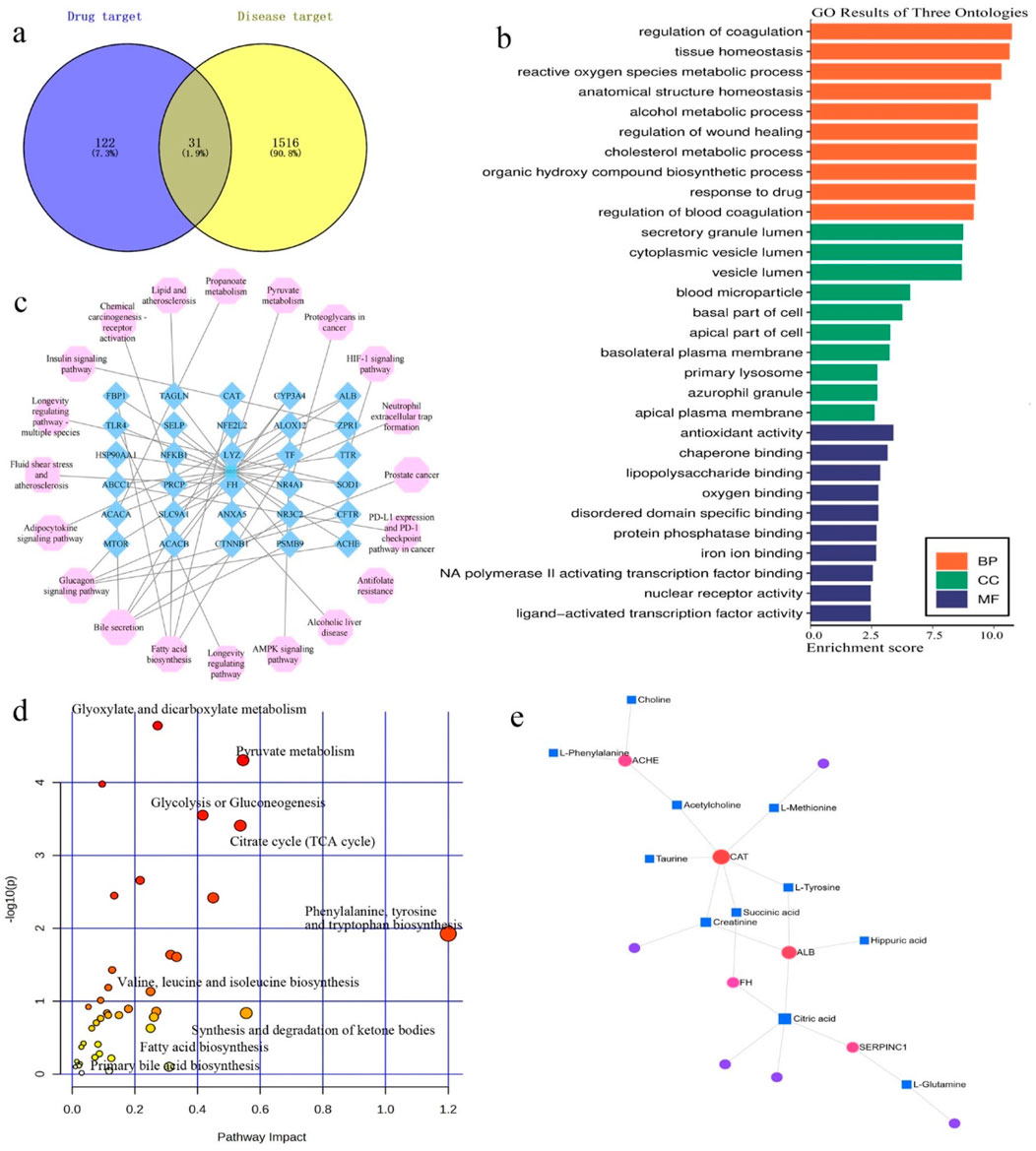 Panel a displays a Venn diagram comparing drug and disease targets, with 31 common targets. Panel b is a bar chart showing gene ontology enrichment scores across three ontologies: biological processes, cellular components, and molecular functions. Panel c is a network diagram illustrating interactions between pathways and targets, with nodes categorized by type. Panel d is a scatter plot detailing pathway impact versus significance, highlighting glyoxylate, dicarboxylate metabolism, and others. Panel e is a network diagram showing biochemical interactions among various metabolites and enzymes.