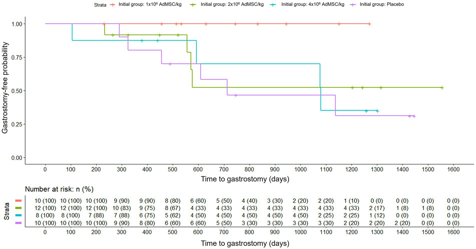 Kaplan–Meier curves for gastrostomy-free survival by initial randomization group: placebo and AdMSC at 1 × 10^6, 2 × 10^6, 4 × 10^6 cells/kg. The y-axis shows probability (0–1) and x-axis shows days (0–1600). A table below the plot lists numbers at risk over time.