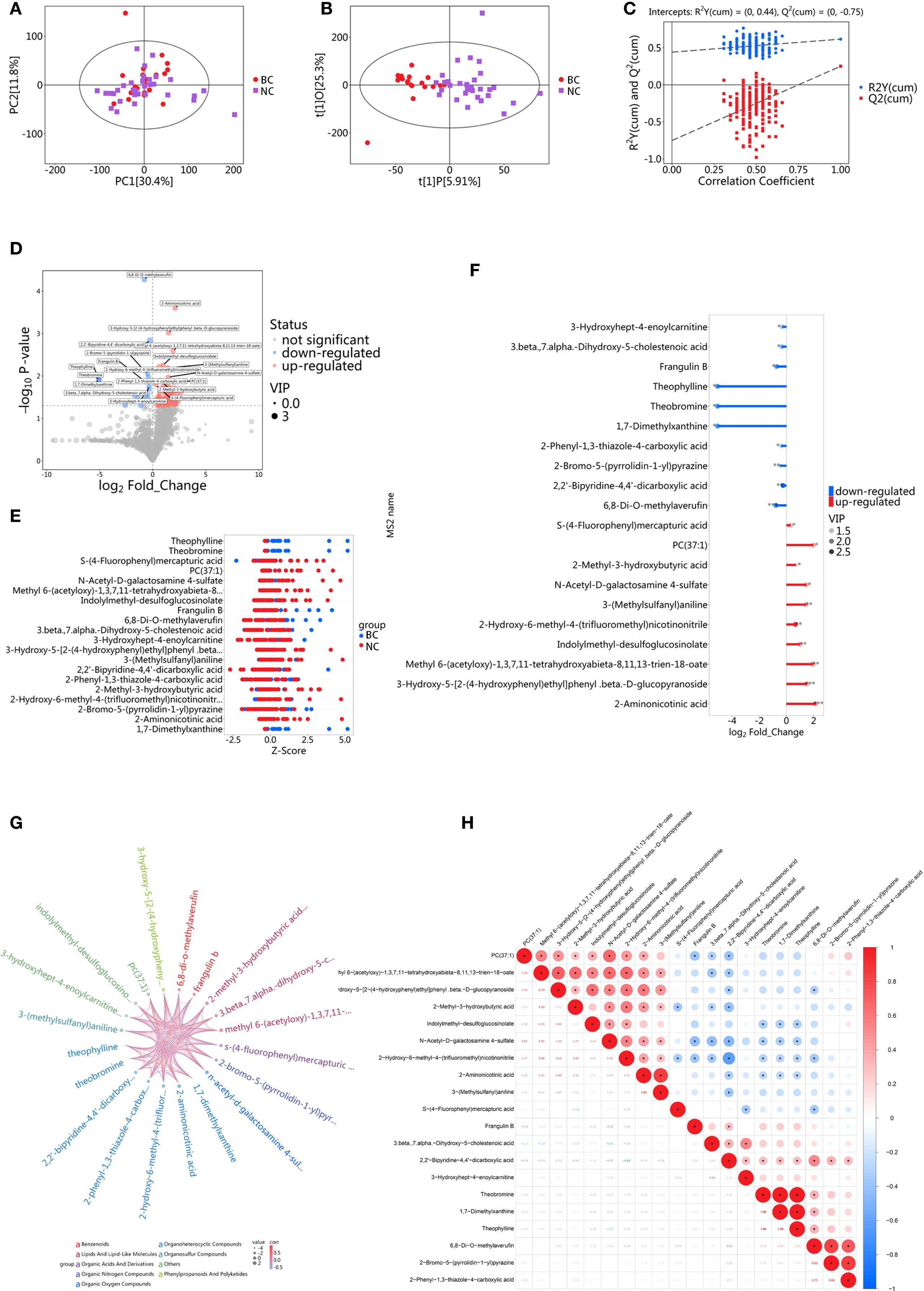 The image contains multiple data visualizations related to a metabolomics study.   A: A PCA plot shows the distribution of two groups labeled BC and NC.   B: A score plot from PLS-DA analysis showing separation between BC and NC groups.   C: A validation plot with correlation coefficients and intercepts for R² and Q² values.   D: A volcano plot indicating significant and non-significant metabolites, highlighting those up-regulated or down-regulated.   E: A heatmap displaying MS2 names and Z-scores for each group with color-coded circles.   F: A bar chart of log₂ fold changes of metabolites with color coding for regulation status.   G: A network diagram of metabolites grouped by type.   H: A correlation matrix with color-coded circles representing correlation strength.