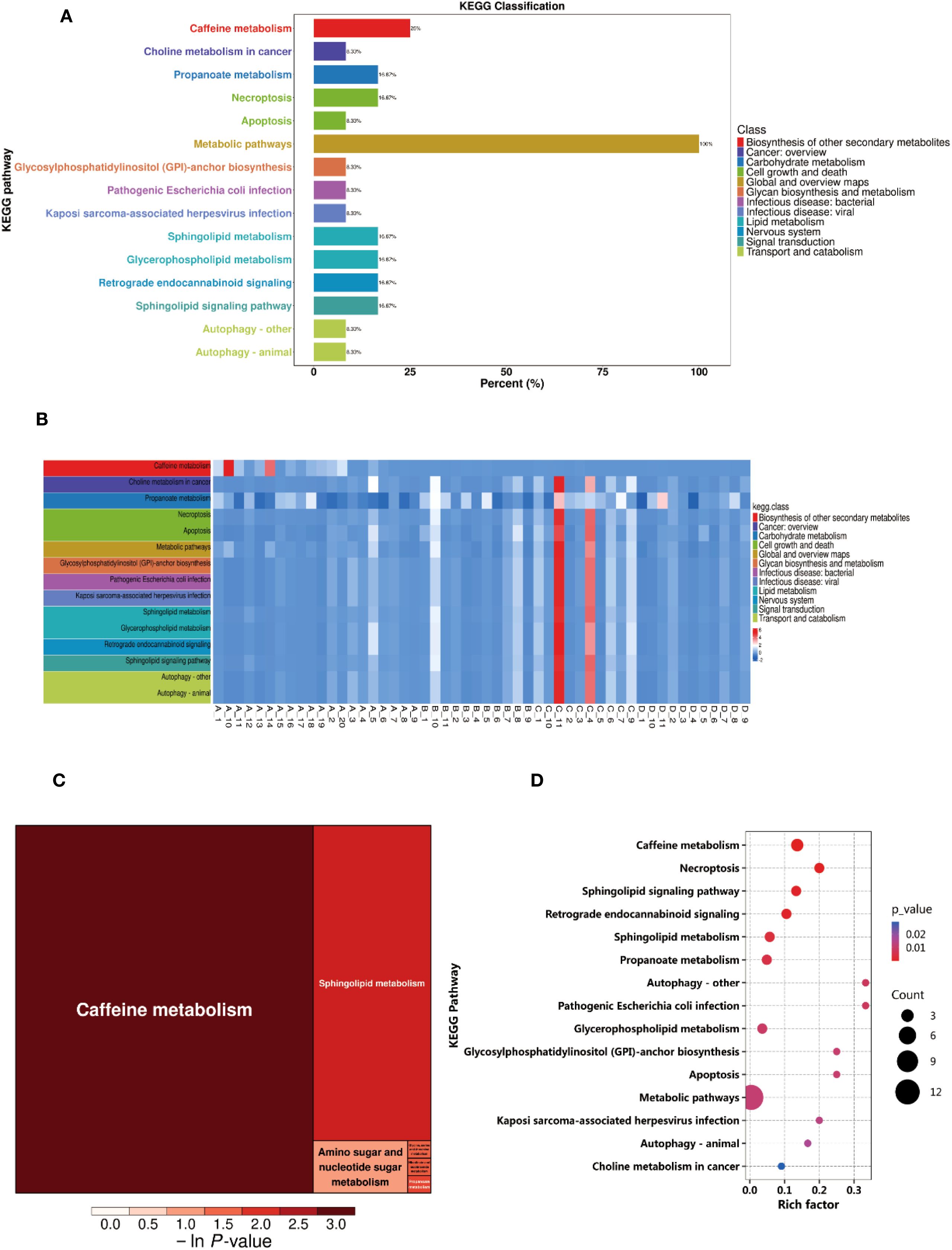 A four-part data visualization related to KEGG pathways. Panel A shows a bar chart with pathways like caffeine metabolism and metabolic pathways, color-coded by class. The percentage ranking displays pathway prevalence. Panel B is a heatmap indicating intensities for various pathways across samples. Panel C presents a rectangular treemap emphasizing caffeine metabolism with smaller sections for sphingolipid metabolism and amino sugar metabolism. Panel D features a bubble plot illustrating KEGG pathways with p-values and rich factor; bubble sizes represent count. Each pathway is color-coded for class.