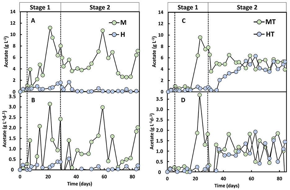 Four line graphs labeled A, B, C, and D compare acetate concentration over time in two stages marked by dashed lines at day 40. Graphs A and B show M (green) and H (blue); C and D show MT (green) and HT (blue). Y-axis represents acetate in grams per liter, with values fluctuating throughout.