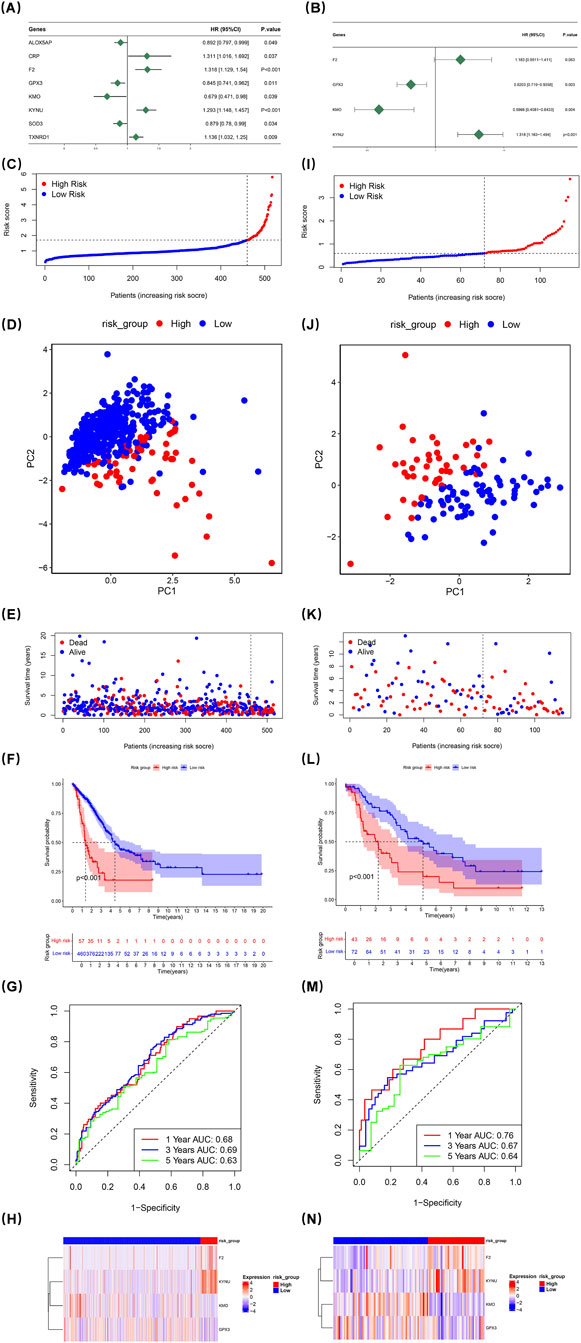 The image contains multiple panels of data visualizations. Panels (A) and (B) show forest plots with hazard ratios for different genes. Panels (C) and (I) depict risk score distributions among patients labeled as high or low risk. Panels (D) and (J) present scatter plots for principal component analysis. Panels (E) and (K) illustrate patient survival times related to risk scores. Survival probabilities are shown in Kaplan-Meier plots in panels (F) and (L), with significant differences highlighted. Receiver Operating Characteristic (ROC) curves are in panels (G) and (M), showing varying AUC values for different time frames. Panels (H) and (N) are heat maps of gene expression related to risk groups.