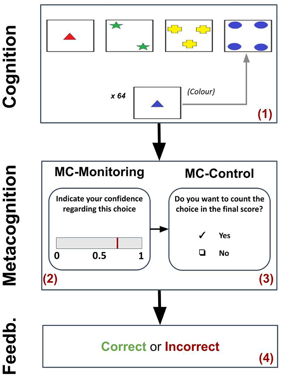 Cognitive and metacognitive process flowchart featuring two sections. The cognition section includes shape and color identification with various shapes in a row, followed by a colored shape task repeated 64 times. The metacognition section involves MC-Monitoring, where confidence is indicated on a 0 to 1 scale, and MC-Control, where participants decide whether to include the choice in the final score. The process concludes with feedback, noting outcomes as “Correct” or “Incorrect.”