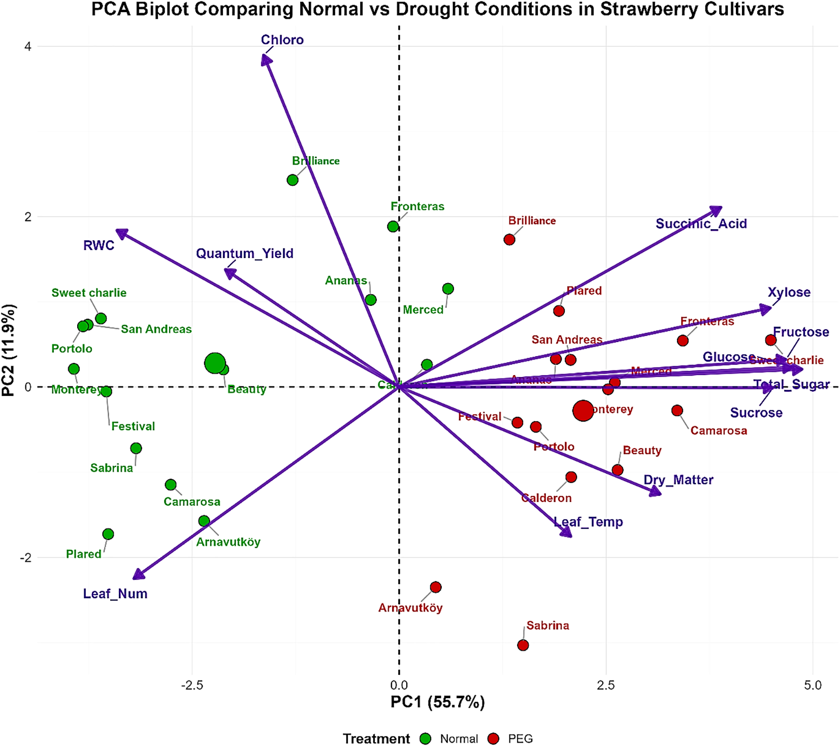 PCA biplot comparing normal and drought conditions in strawberry cultivars. The x-axis represents PC1 with 55.7% variance, and the y-axis represents PC2 with 11.9% variance. Green circles indicate normal treatment, red circles indicate PEG treatment. Arrows represent variables like chlorophyll, sucrose, and leaf number.