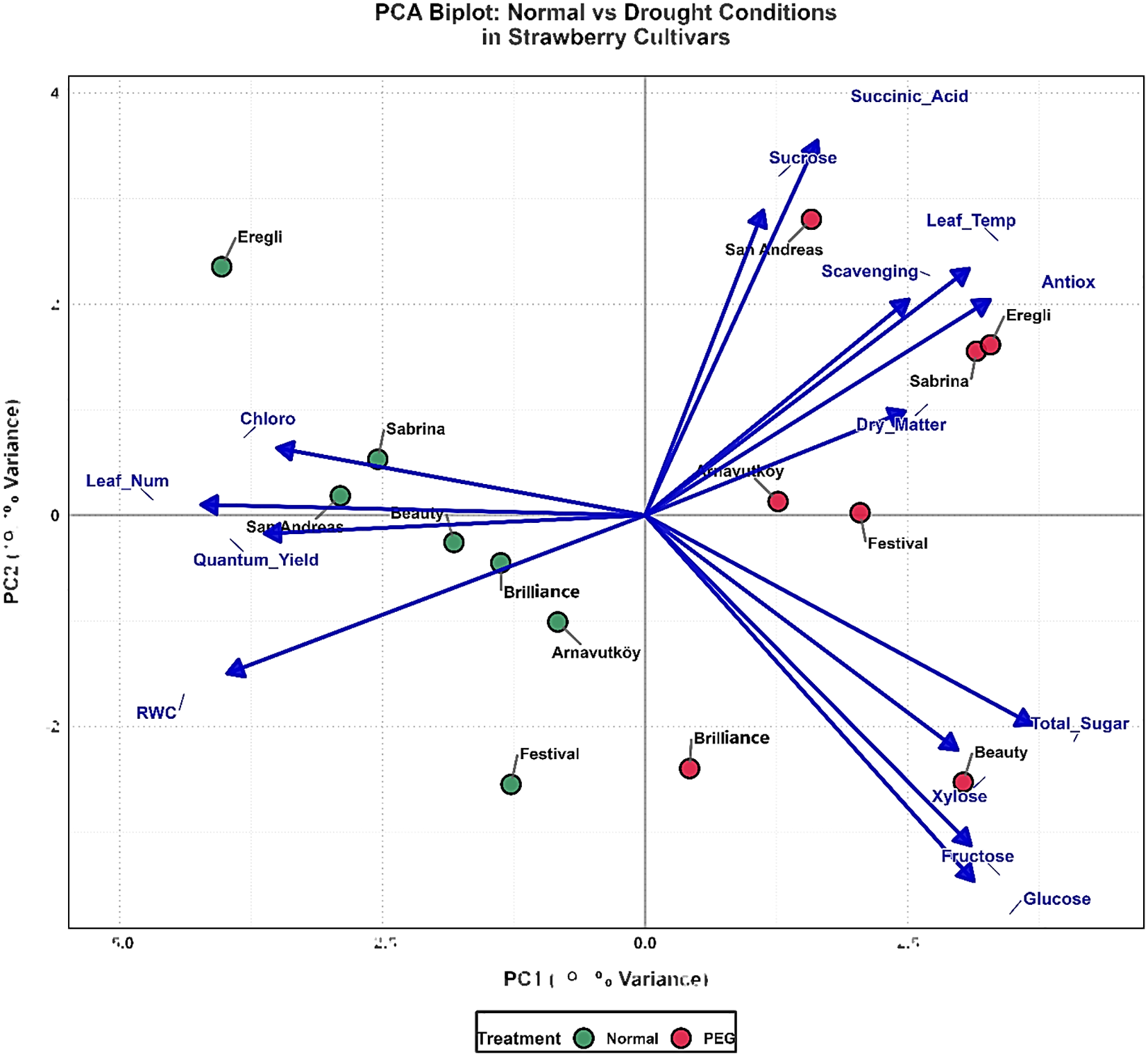 PCA biplot showing normal versus drought conditions in strawberry cultivars. The plot displays variables such as succinic acid, sucrose, leaf temperature, and total sugar with vectors, and cultivars like Eregli, Sabrina, and Festival represented as points. Green points indicate normal treatment, and red points indicate PEG treatment. Arrows denote variable directions, with axes labeled PC1 and PC2, representing percentages of variance.