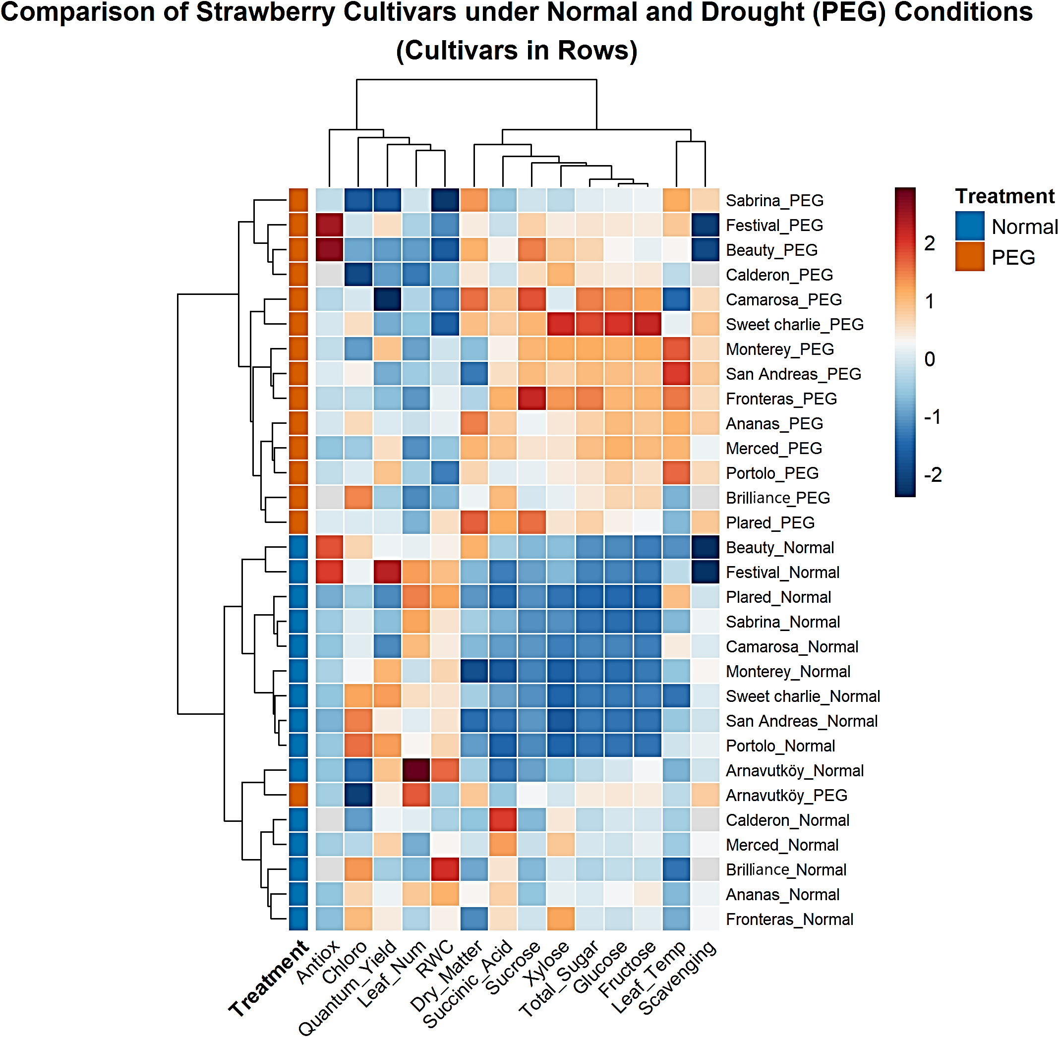 Heatmap comparing strawberry cultivars under normal and drought (PEG) conditions. Cultivars are listed in rows and treatments in columns. A color gradient from blue to red represents treatment effects, with blue indicating normal conditions and red indicating PEG conditions. The legend shows treatment labels with a range from negative two to positive two. Clustering trees are present on both axes.