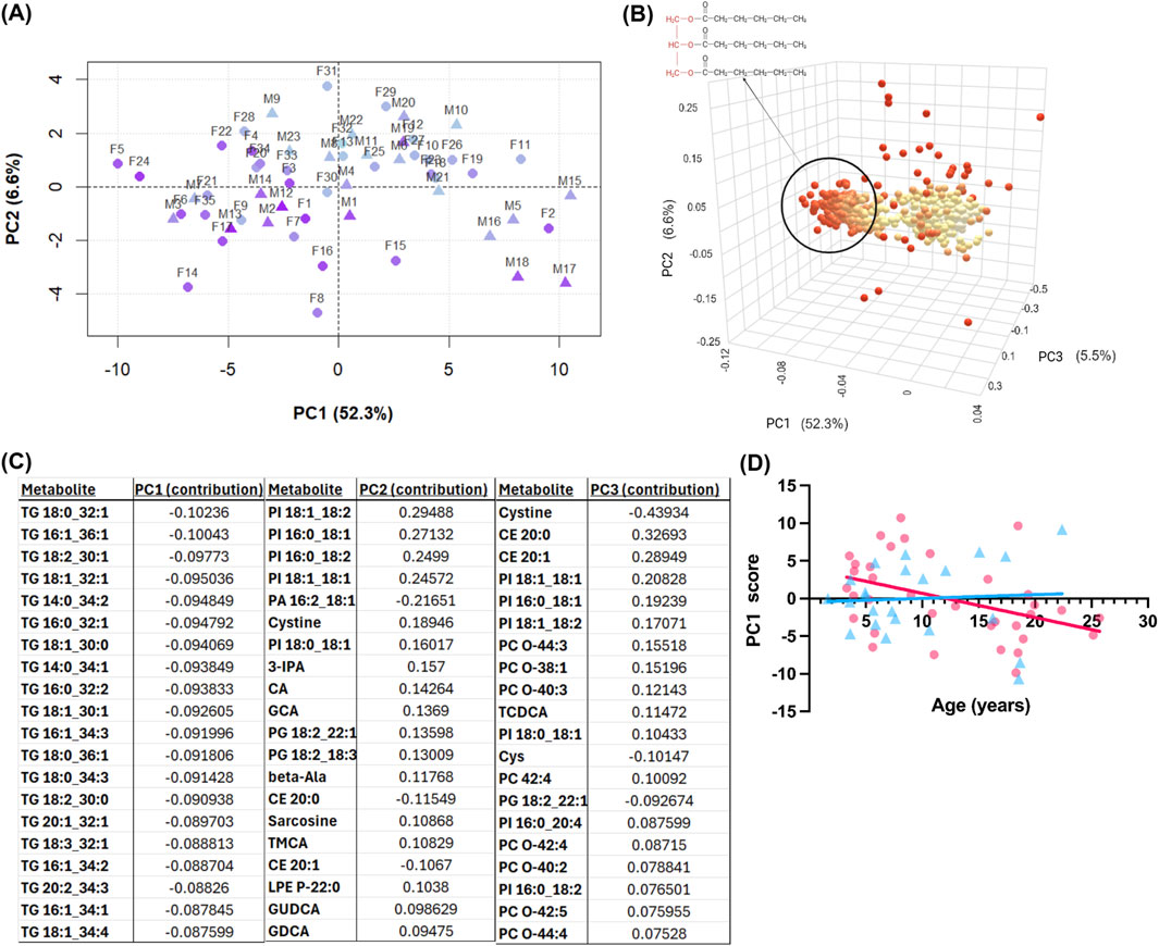 (A) A 2D scatter plot showing principal component analysis with PC1 (52.3% variance) and PC2 (6.6% variance), plotting various points marked by triangles and circles. (B) A 3D scatter plot with PC1, PC2, and PC3 axes, showing clustered data points in color gradient, highlighting a circled cluster. (C) A table listing metabolites and their contributions to PC1, PC2, and PC3. (D) A scatter plot displaying PC1 score against age in years, with a linear trend line indicating a slight decrease.
