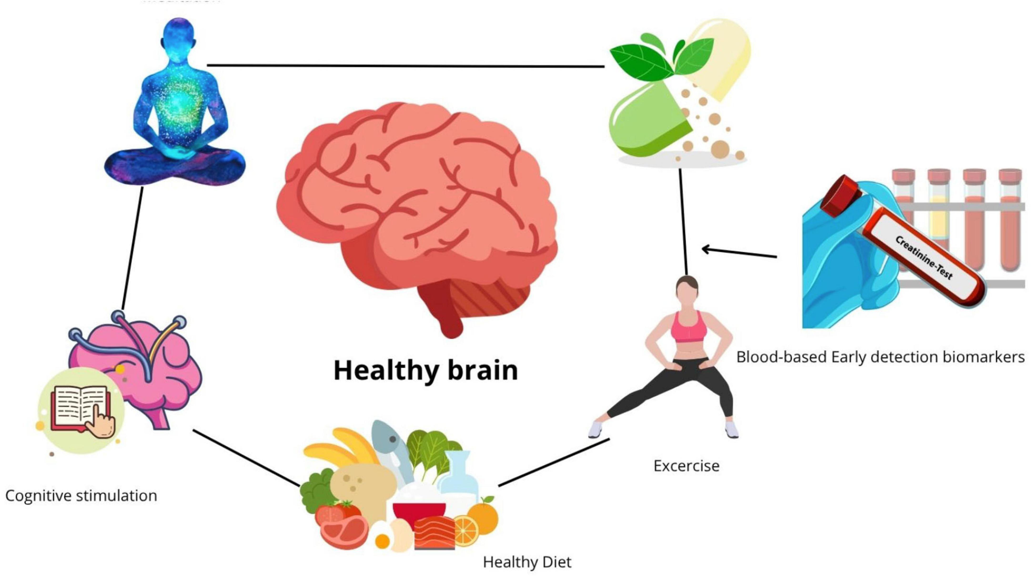 Diagram illustrating factors for maintaining a healthy brain. Central brain image is connected to cognitive stimulation, meditation, healthy diet, exercise, supplements, and blood-based biomarkers. Labels include “Cognitive stimulation,” “Exercise,” “Healthy Diet,” “Blood-based Early detection biomarkers.”