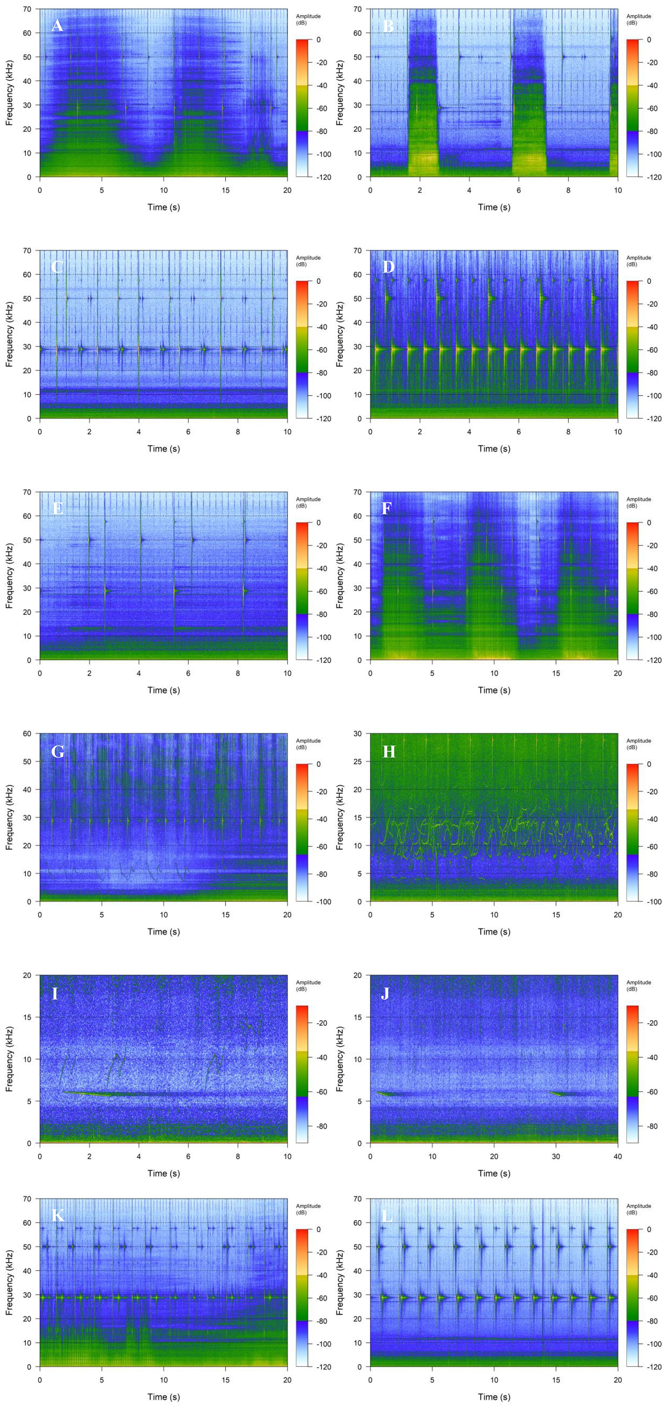 Spectrograms A to L display frequency and amplitude data over time, with frequency in kilohertz and amplitude in decibels. Each spectrogram shows variations in sound intensity across different frequencies and time durations. The color gradient, ranging from blue to red, indicates amplitude levels, with blue representing lower intensities and red representing higher. Panels A, F, and H depict longer time durations up to twenty seconds, while others vary, showing detailed frequency patterns. Each spectrogram represents unique sound characteristics, highlighted by distinct patterns and intensity levels.