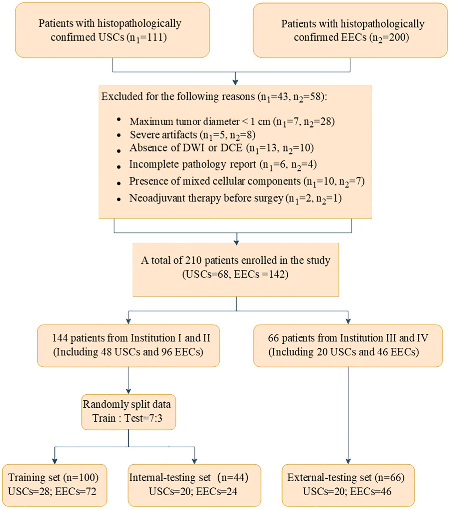 Flowchart detailing patient selection for a study. Initially, 111 patients with histopathologically confirmed USCs and 200 with EECs are considered. Exclusions total 43 for USCs and 58 for EECs due to reasons such as small tumor size, severe artifacts, absence of DWI or DCE, incomplete reports, mixed cellular components, and prior neoadjuvant therapy. This results in 210 enrolled patients (68 USCs and 142 EECs). These are divided into 144 from Institution I and II (48 USCs, 96 EECs) and 66 from Institution III and IV (20 USCs, 46 EECs). Data is split into training (100), internal-testing (44), and external-testing sets (66).