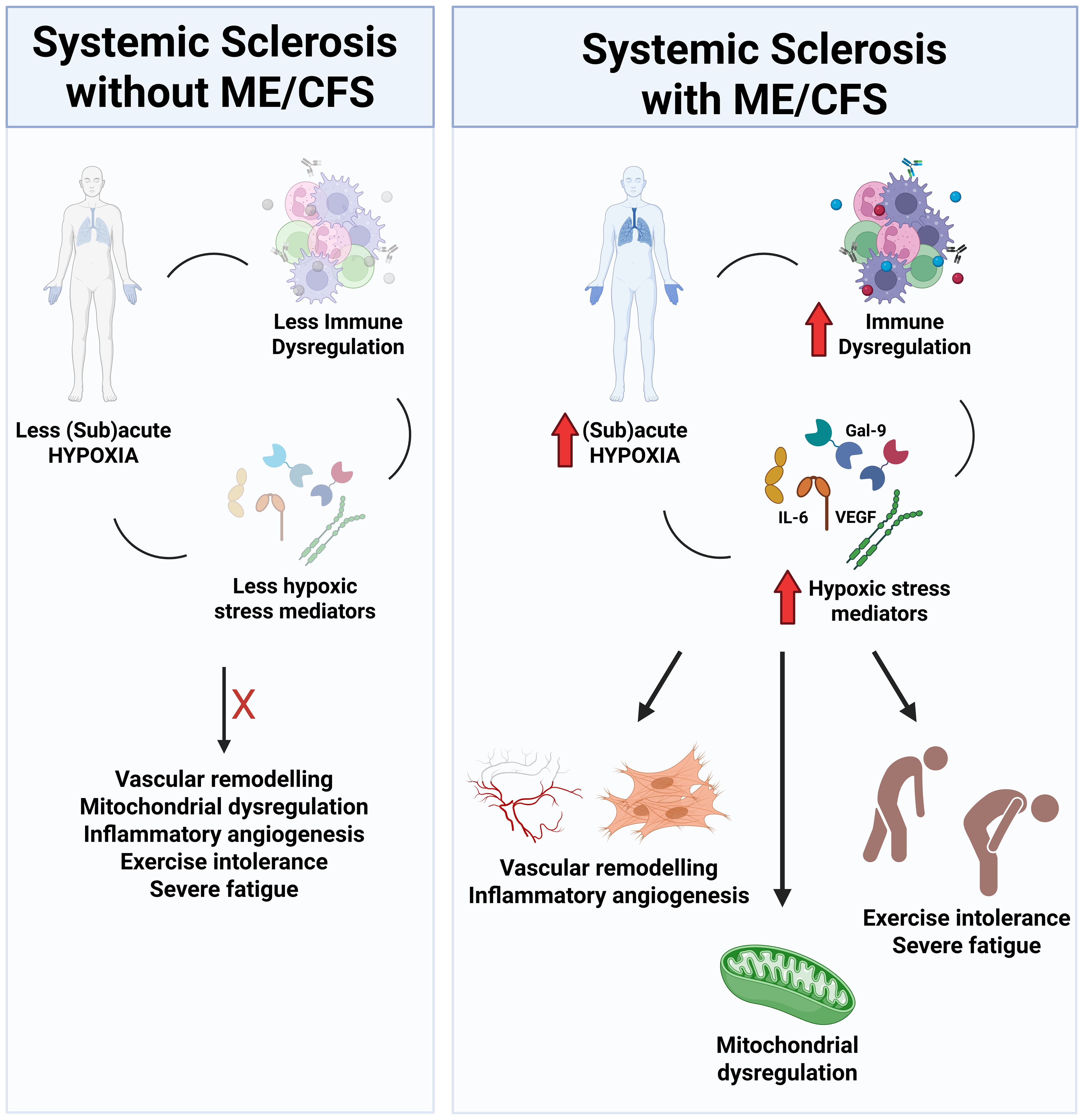 Comparison infographic of systemic sclerosis without and with ME/CFS. The left panel shows reduced immune dysregulation, hypoxia, and stress mediators, resulting in vascular remodeling, mitochondrial dysregulation, inflammatory angiogenesis, exercise intolerance, and severe fatigue. The right panel shows increased immune dysregulation, hypoxia, and stress mediators (GAL-9, IL-6, VEGF), leading to the same conditions with icons representing each symptom.