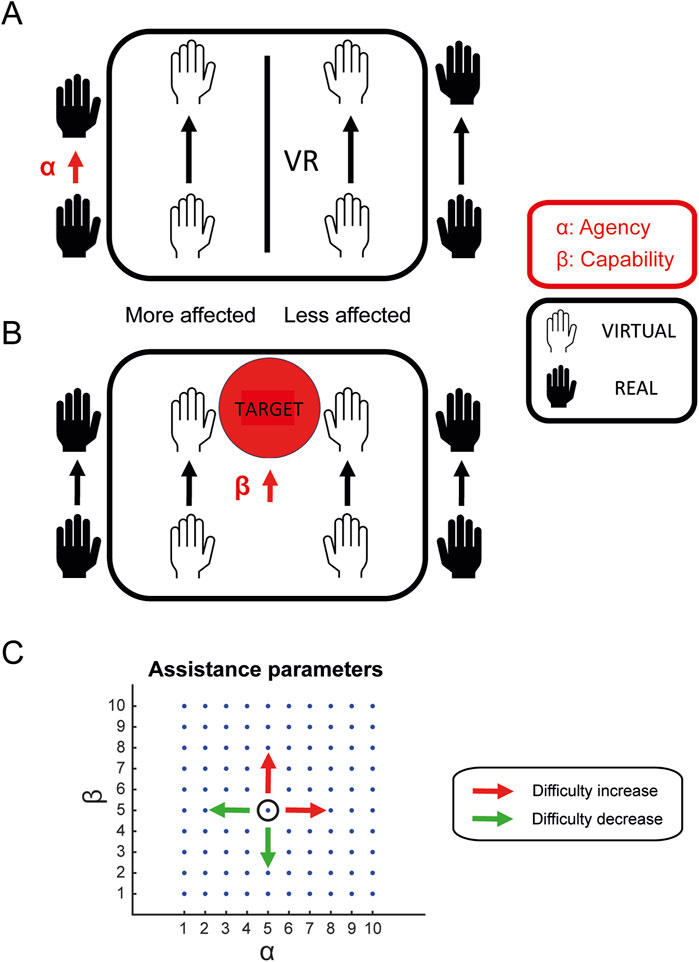 Diagram showing a virtual reality setup for assessing hand movement in three panels. Panel A illustrates hands labeled more and less affected by arrows indicating movement with agency (α) marked for real hands. Panel B adds a red target labeled