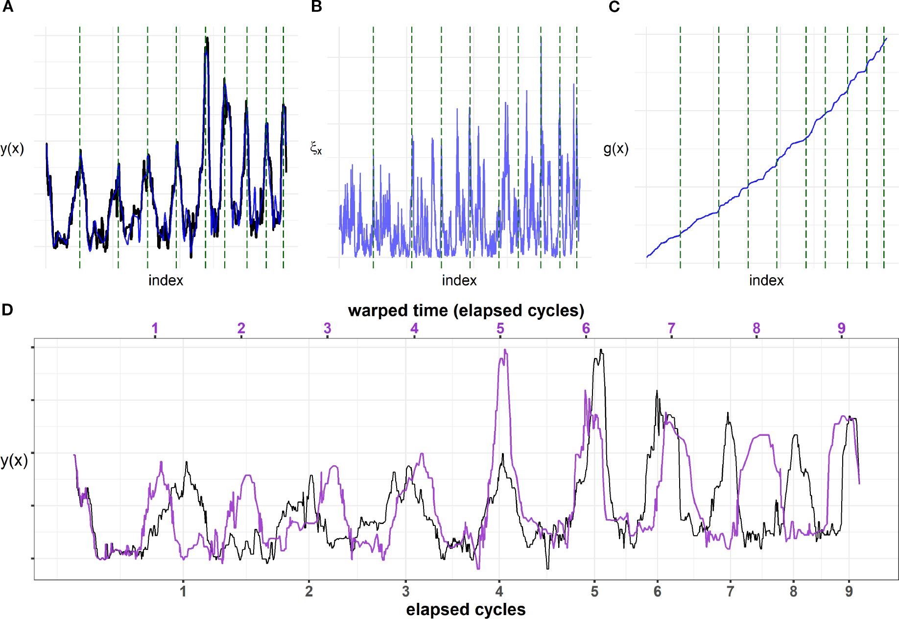 Four panels illustrating signal analysis. Panel A shows a graph of function \( y(x) \) with fluctuating peaks across indexes. Panel B depicts a noisy signal \( \xi_x \). Panel C presents a steadily increasing graph \( g(x) \). Panel D displays a combined graph comparing \( y(x) \) over warped time (elapsed cycles) with fluctuations in black and purple lines.