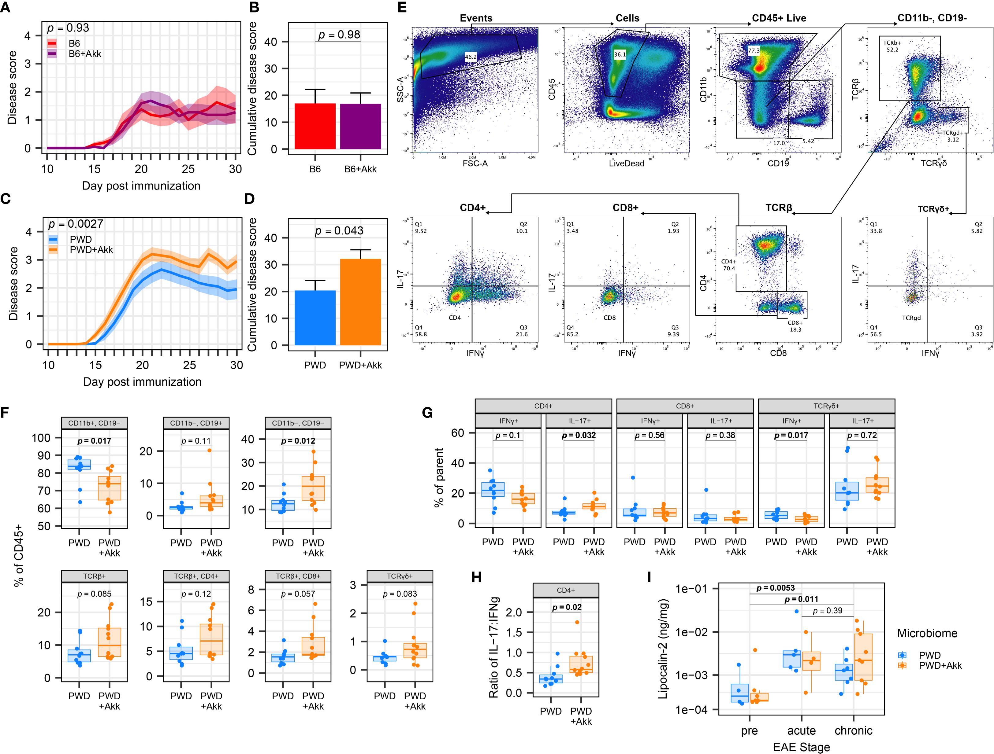 Graphs and dot plots analyze the effects of Akkermansia muciniphila (Akk) on disease scores, immune cell populations, and cytokine production in different mice strains. Panels A-D show disease scores over time and cumulative scores. Panel E displays flow cytometry data assessing immune cell populations. Panels F-H provide box plots showing percentages of specific immune cells and cytokine ratios. Panel I presents a box plot of lipocalin-2 levels at different disease stages. Statistical significance is indicated by p-values.