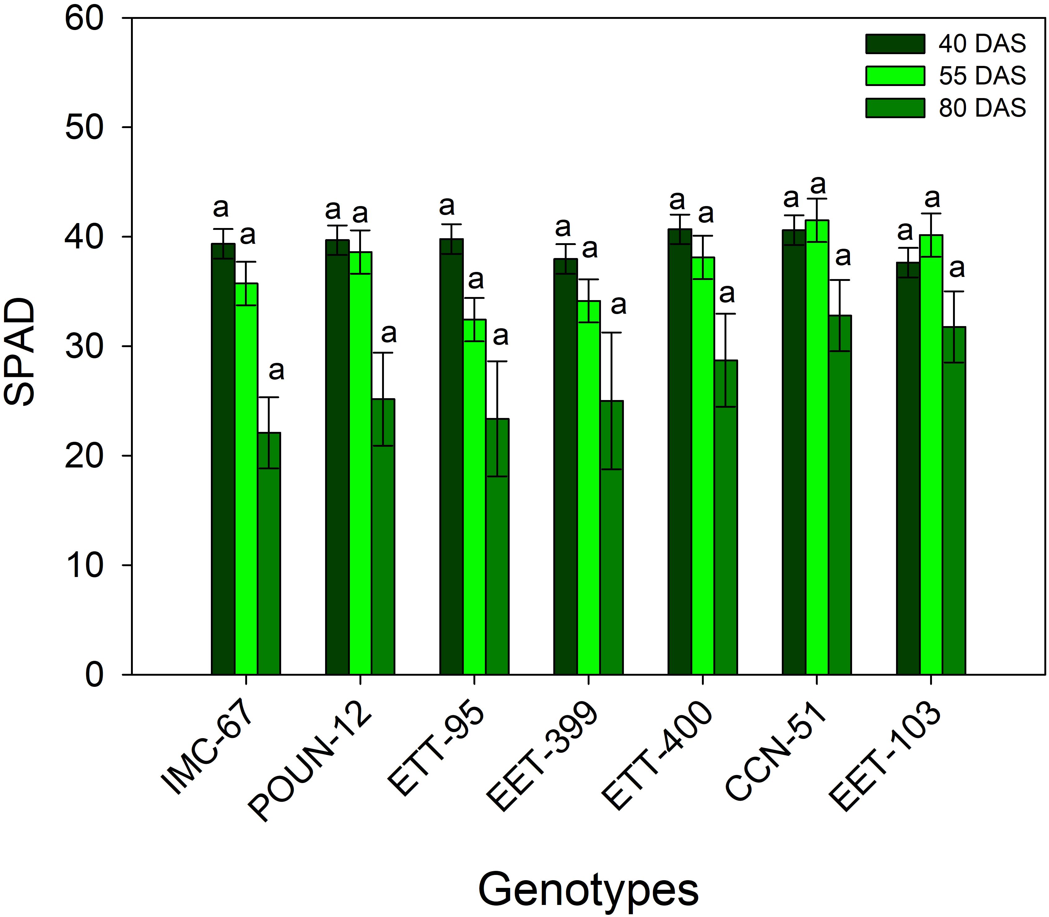 Bar graph showing SPAD readings for different genotypes at 40, 55, and 80 days after sowing (DAS). Genotypes displayed include IMC-67, POUN-12, ETT-95, EET-399, EET-400, CCN-51, and EET-103. SPAD values range from 0 to 60, and bars are color-coded with increasing darkness representing later days. Each group of bars is annotated with the letter 'a,' indicating statistical significance at each measurement period.