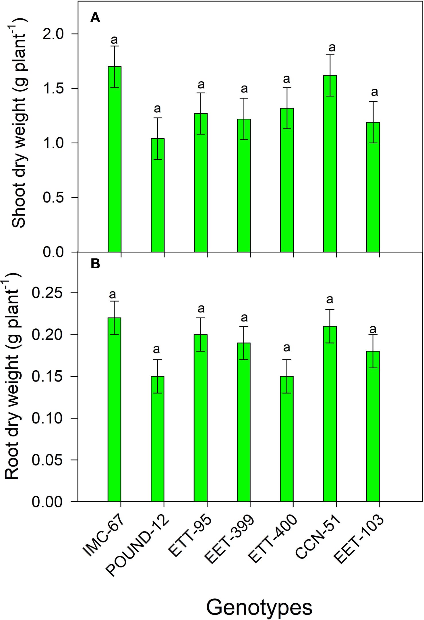 Bar graph showing shoot and root dry weights for various plant genotypes. Panel A displays shoot dry weights, all similar around 1.5 grams per plant. Panel B displays root dry weights, averaging around 0.2 grams per plant. Genotypes include IMC-67, POUND-12, ETT-95, EET-399, ETT-400, CCN-51, and EET-103. All bars show similar measurements with close ranges and include error bars.