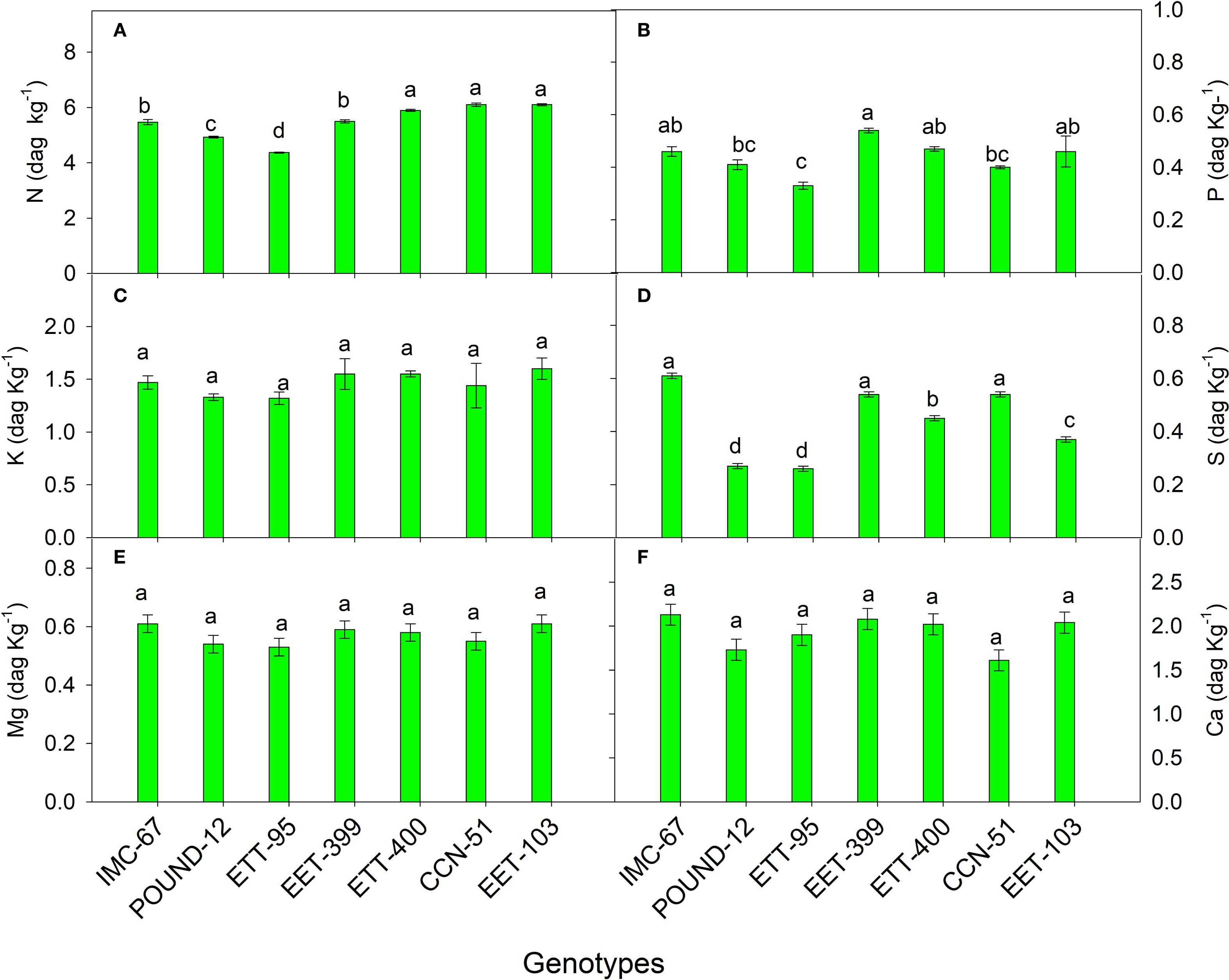 Bar charts of nutrient content (N, P, K, S, Mg, Ca) in green bars across different genotypes labeled IMC-67, POUND-12, EET-95, EET-399, EET-400, CCN-51, and EET-103. Vertical axes show content in dag per kg, with letters indicating statistical significance per nutrient.