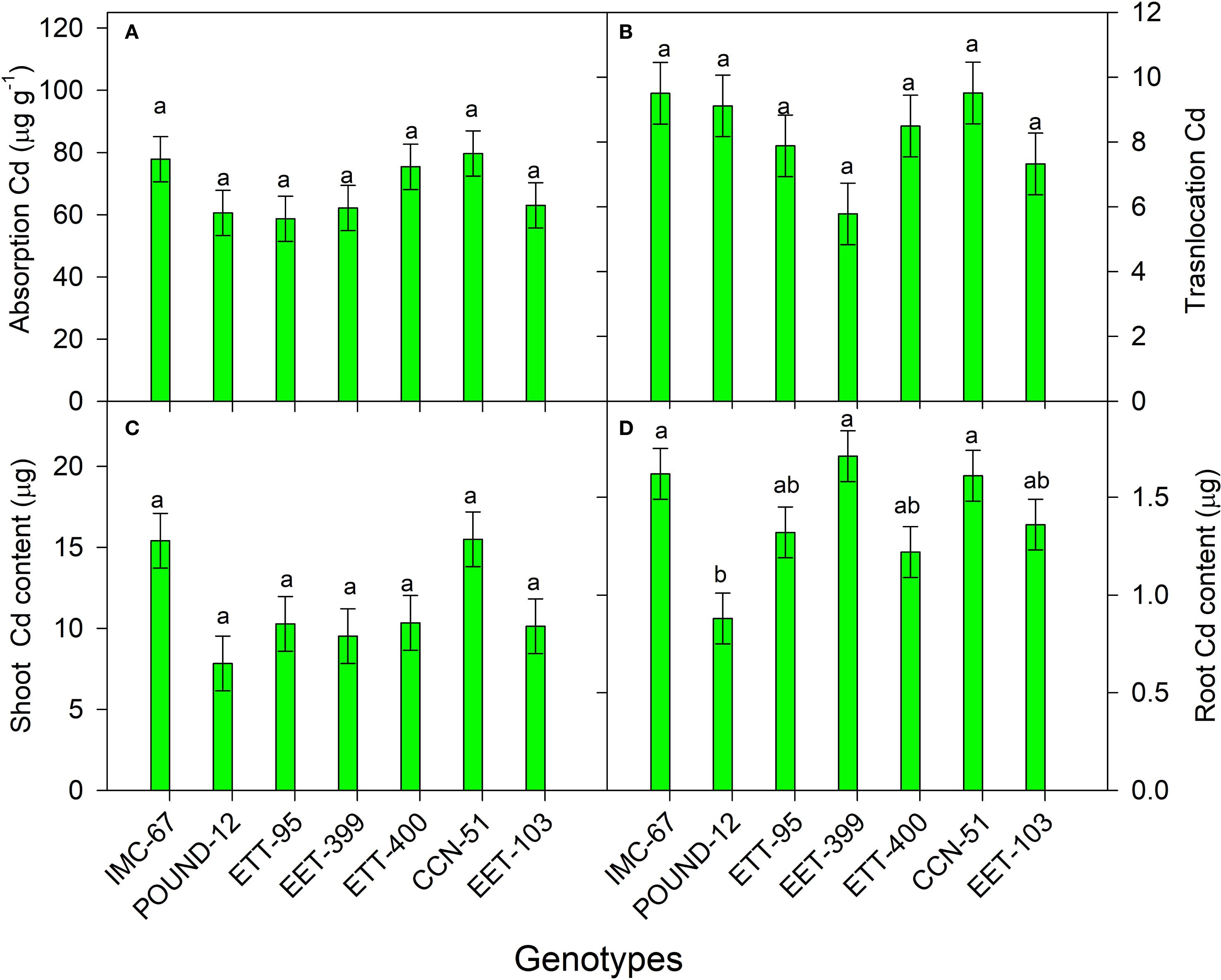 Four-panel bar graphs depict cadmium absorption, translocation, shoot content, and root content across different genotypes. Each panel (A, B, C, D) shows varying levels with error bars, indicating statistical differences among genotypes such as IMC-67, POUND-12, and EET-95, among others. The graphs highlight differences in cadmium handling among the genotypes.