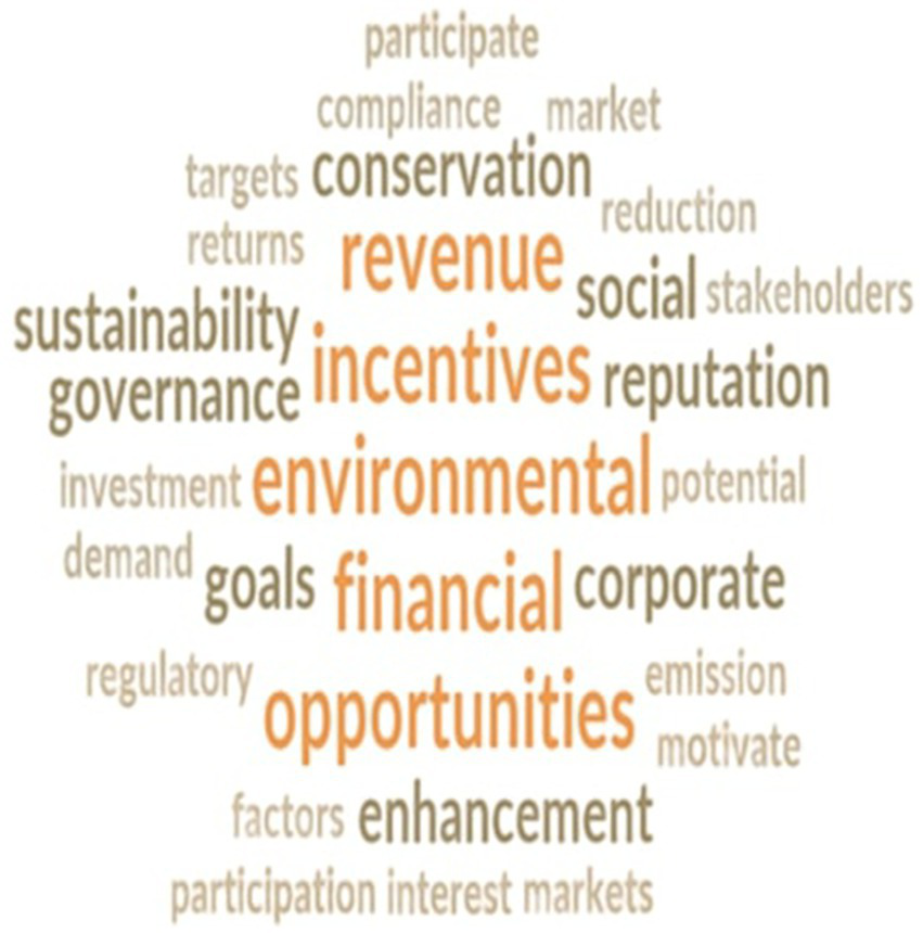 Word cloud featuring terms related to business and sustainability. Prominent words include "revenue," "incentives," "environmental," "financial," and "opportunities." Other words like "conservation," "sustainability," "governance," and "enhancement" are also visible.