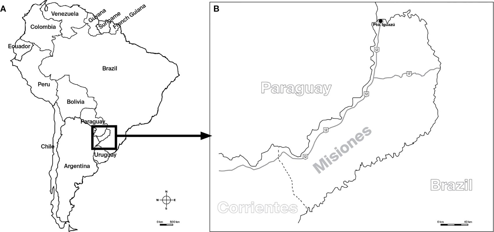 Map divided into two panels. Panel A shows South America with countries labeled: Brazil, Venezuela, Guyana, Suriname, French Guiana, Colombia, Ecuador, Peru, Bolivia, Paraguay, Chile, Argentina, and Uruguay. An arrow zooms into a specific region. Panel B details the border area between Paraguay, Brazil, and Argentina, highlighting Misiones and Corrientes provinces and the town of Puerto Iguazú, with roads marked.