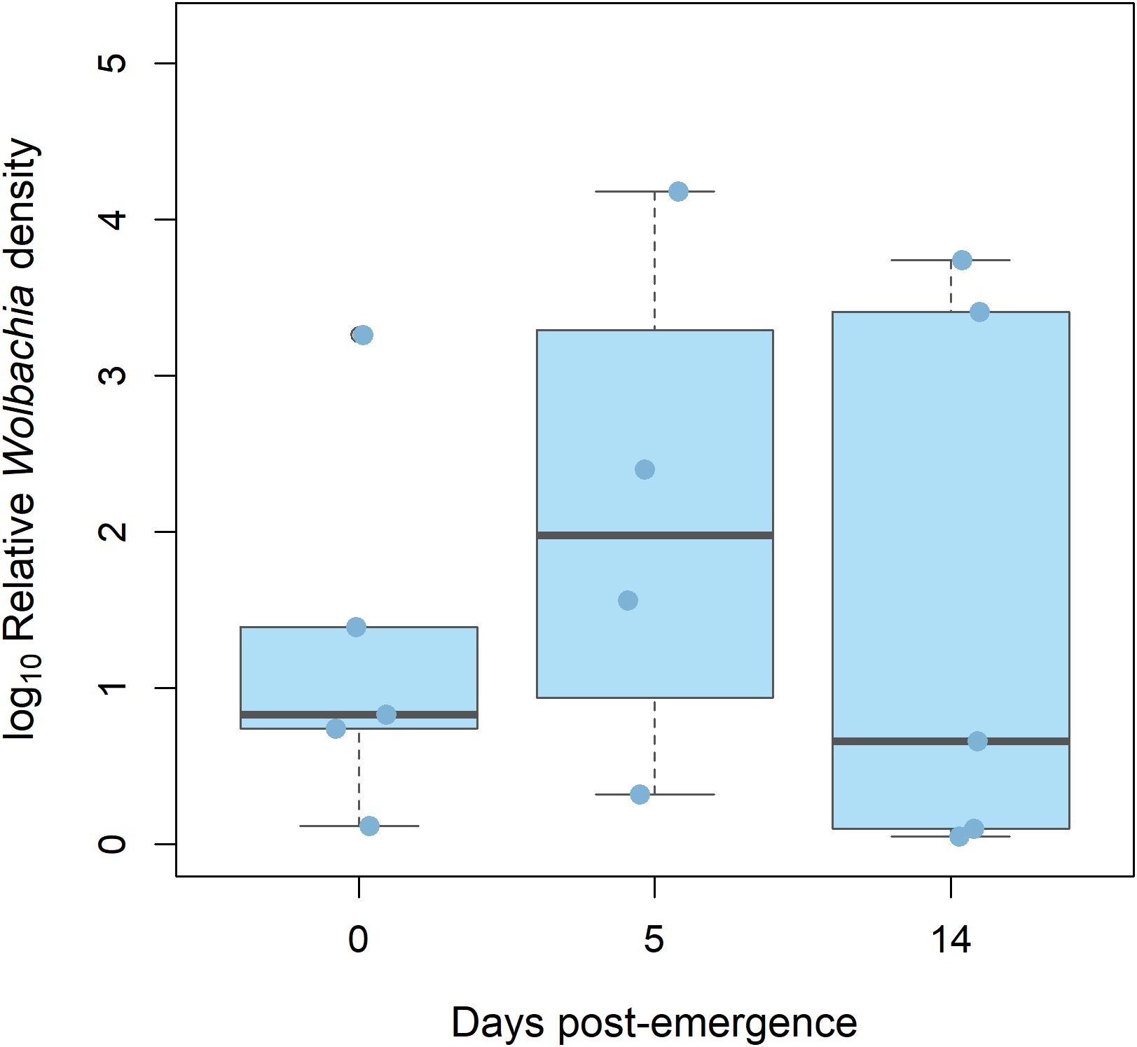 Box plot showing the log10 of relative Wolbachia density at 0, 5, and 14 days post-emergence. Median density increases over time, with greater variability at later days.