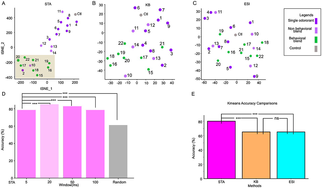 Scientific illustration consisting of six panels: A shows diagrams of neural pathways with odor blends and increased Bea concentration synchronizing PNs to higher brain centers. B displays graphs of trial data over time, with varying response patterns. C is a scatter plot with tSNE analysis, clustering different conditions. D contains a heatmap indicating synchronization levels with a red-blue color scale. E presents z scored plots for different conditions showing neural activity over time. F is a box plot of dissimilarity index for behavioral blend and single odorant, showing variability across conditions.