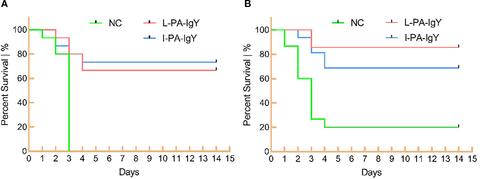 Two Kaplan-Meier survival curves, labeled A and B, display percent survival over days. In both, three lines represent: NC (green), L-PA-IgY (red), and I-PA-IgY (blue). Chart A shows the NC line decreasing sharply to zero by day four, while the other lines remain mostly stable. Chart B shows a similar pattern, with NC dropping to zero by day nine, while L-PA-IgY and I-PA-IgY maintain higher survival rates.