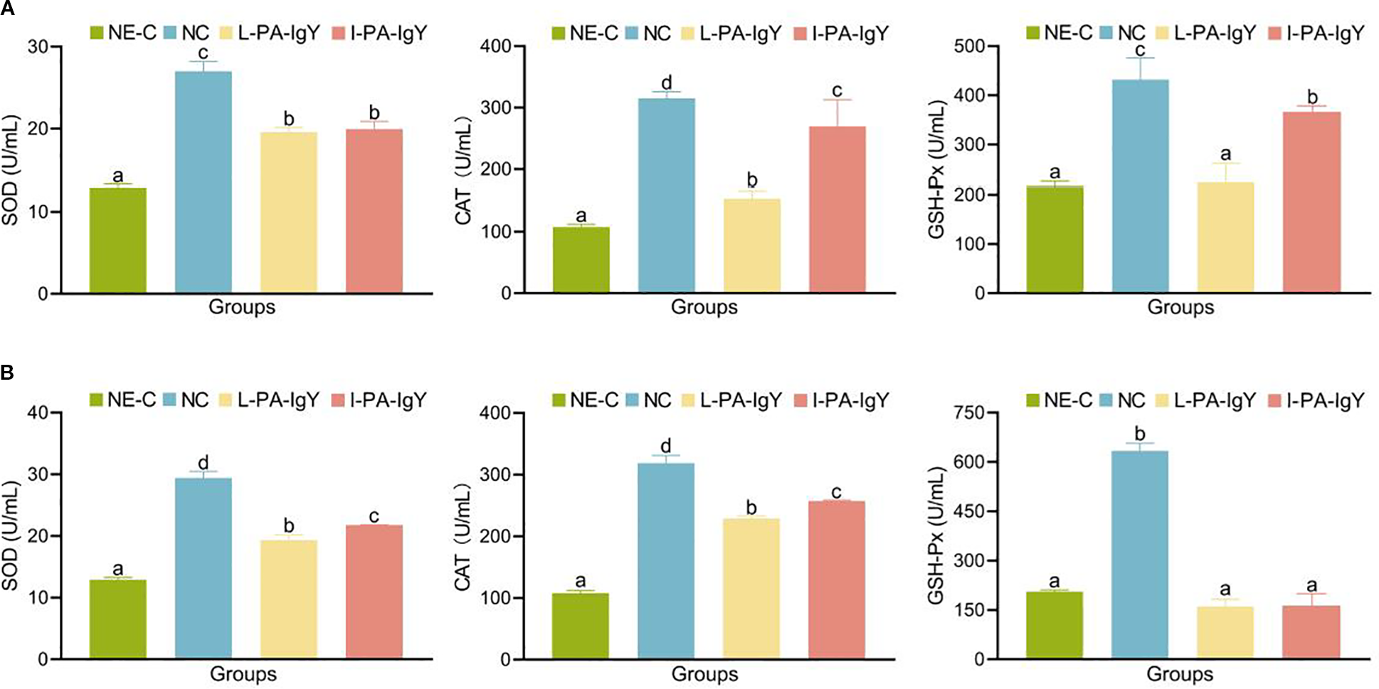 Bar charts comparing antioxidant enzyme levels (SOD, CAT, GSH-PX) in different groups (NE-C, NC, L-PA-IgY, I-PA-IgY). Part A shows lower enzyme levels compared to Part B. Differences among groups are indicated by letters above each bar.