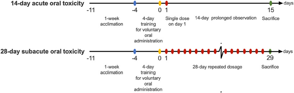 Timeline diagram comparing 14-day acute oral toxicity and 28-day subacute oral toxicity tests. Both start with 11 days of acclimation and 4 days of training. The acute test includes a single dose, 14-day observation, and ends on day 15. The subacute test involves 28 days of repeated dosage, ending on day 29 with sacrifice.