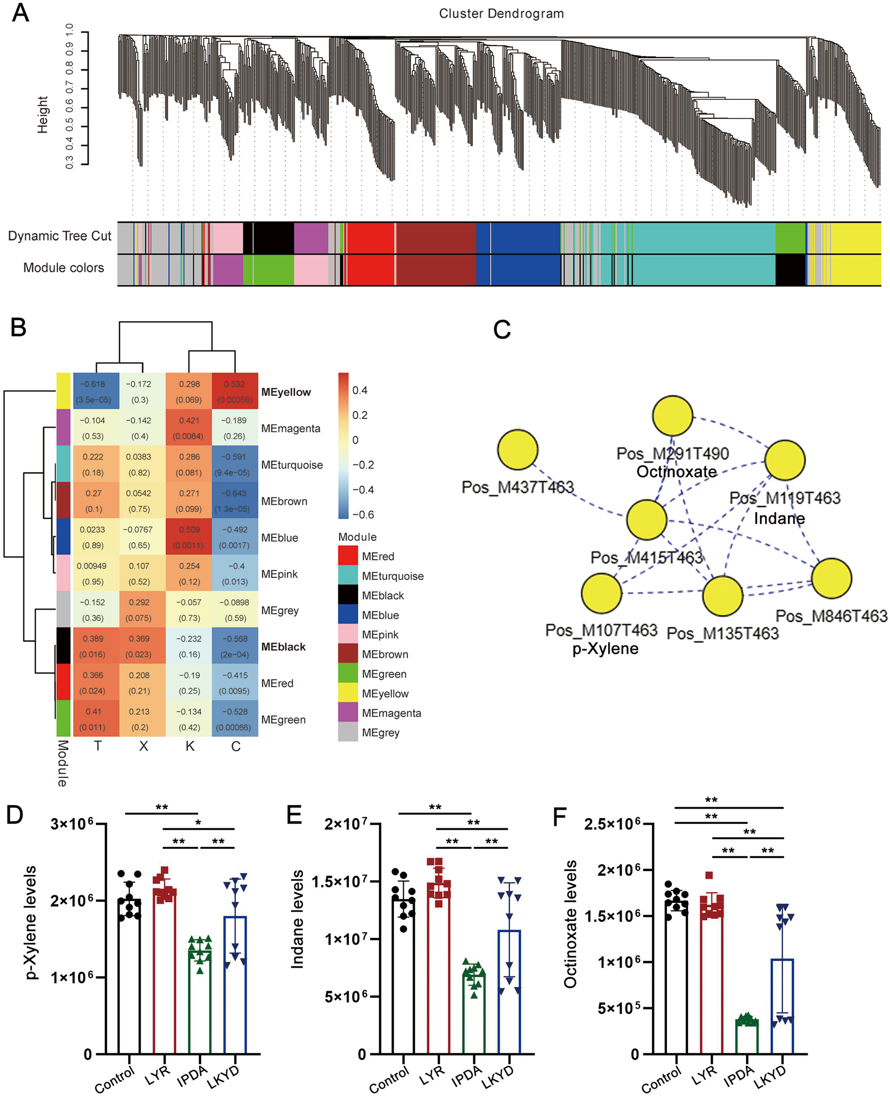 Panel A is a cluster dendrogram with dynamic tree cut and module colors. Panel B is a heatmap showing module correlations. Panel C is a network diagram with labeled yellow nodes. Panels D, E, and F are bar graphs comparing p-Xylene, Indane, and Octinoxate levels across different treatments, showing statistical significance with asterisks.