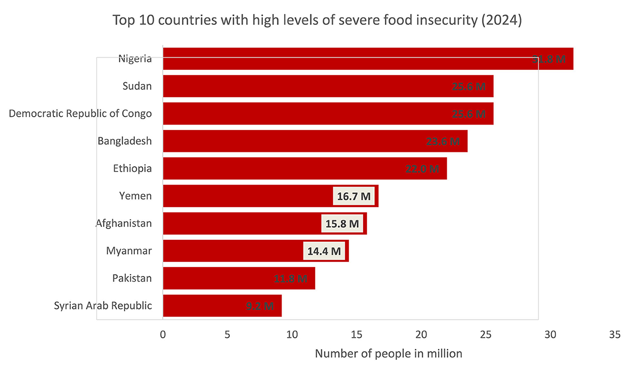 Bar chart showing the top ten countries with high levels of severe food insecurity in 2024. Nigeria leads with 31.8 million people, followed by Sudan and the Democratic Republic of Congo, each with 25.6 million. Bangladesh, Ethiopia, Yemen, Afghanistan, Myanmar, Pakistan, and the Syrian Arab Republic also feature, with numbers ranging from 23.6 to 9.2 million.