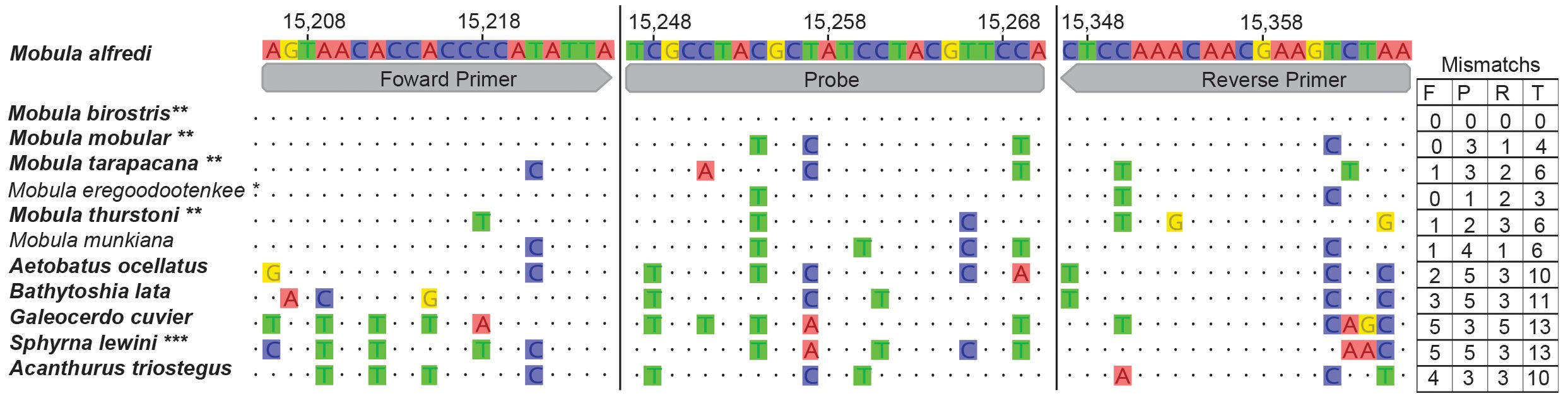 DNA sequence alignment showing primers and probe for various Mobula species and others. Bases are color-coded (A: red, T: green, C: blue, G: yellow) with sites and mismatches. Columns depict forward primer, probe, and reverse primer. Right table lists mismatch counts for each species.