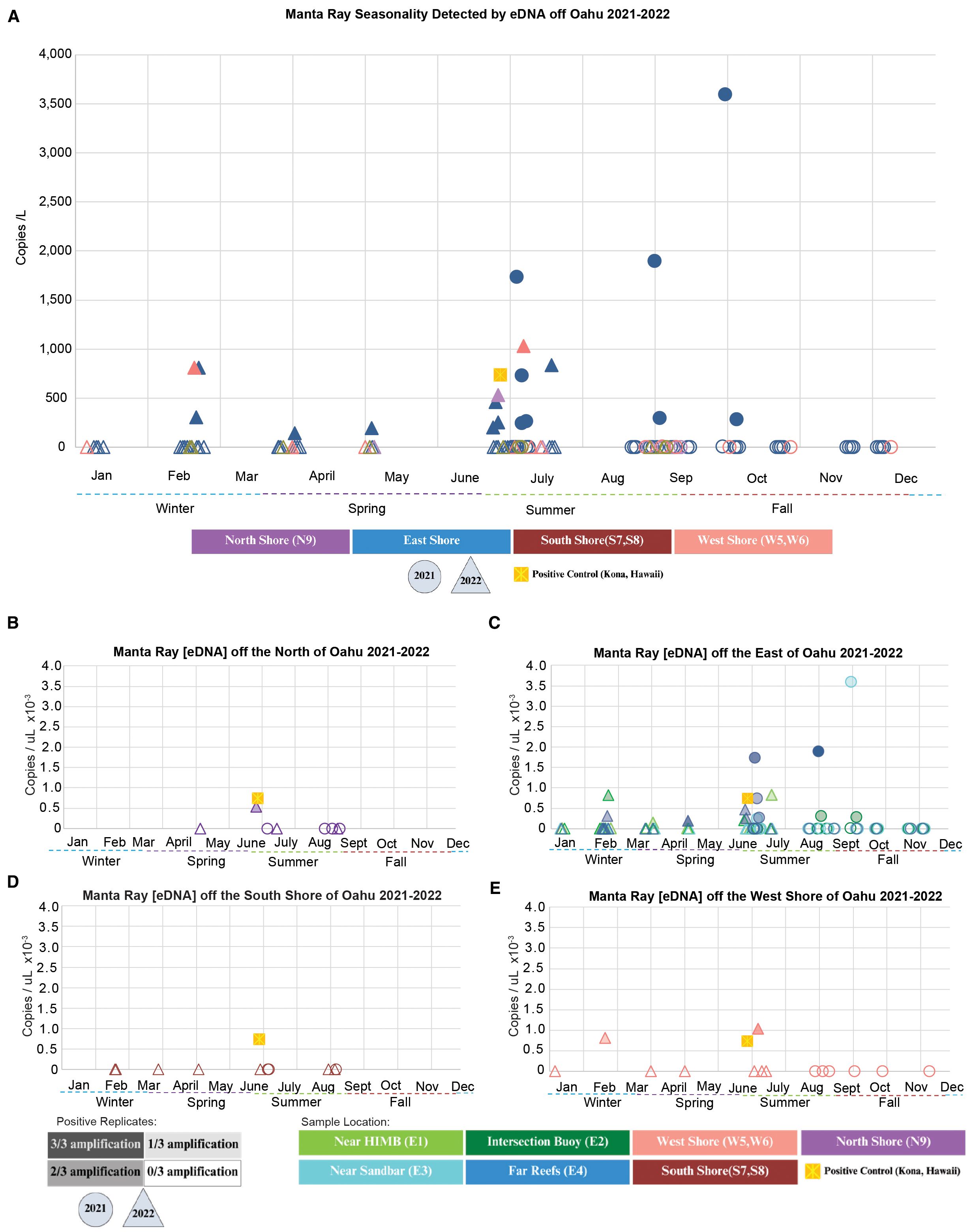 Five graphs show manta ray seasonality detected by eDNA offO‘ahu from 2021-2022. Chart A shows overall seasonality with a surge in July. Charts B to E display data from North, East, South, and West shores, respectively. Each chart plots copies per liter from plankton tows against months, grouped by seasons. Symbols and colors represent different data points, with legends for interpretation.