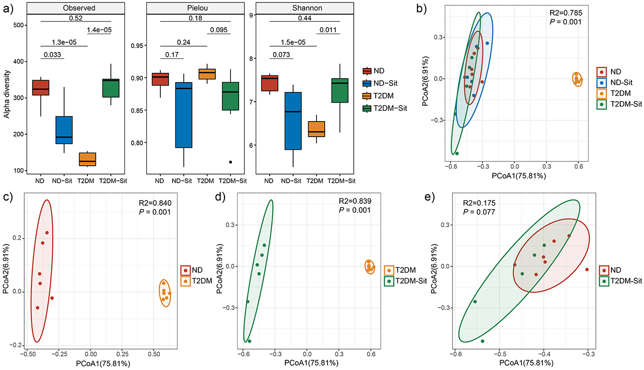Boxplots and PCoA plots show microbial diversity comparisons. Panel (a) shows alpha diversity metrics (Observed, Pielou, Shannon) for four groups: ND, ND-Sit, T2DM, T2DM-Sit, with significance values. Panels (b-e) are PCoA plots demonstrating clustering of microbial communities for various group comparisons: ND vs. T2DM-Sit, ND vs. T2DM, T2DM vs. T2DM-Sit. Insets include R2 and P values. Groups are color-coded: ND (red), ND-Sit (blue), T2DM (orange), T2DM-Sit (green).