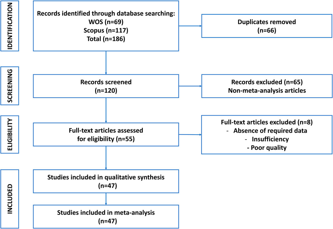 Flowchart showing the selection process of studies for a meta-analysis. Identification involved 186 records from WOS and Scopus, with 66 duplicates removed. Screening included 120 records, excluding 65 non-meta-analysis articles. At eligibility, 55 full-text articles were assessed, with 8 excluded due to absence of required data, insufficiency, and poor quality. Finally, 47 studies were included in both qualitative synthesis and meta-analysis.