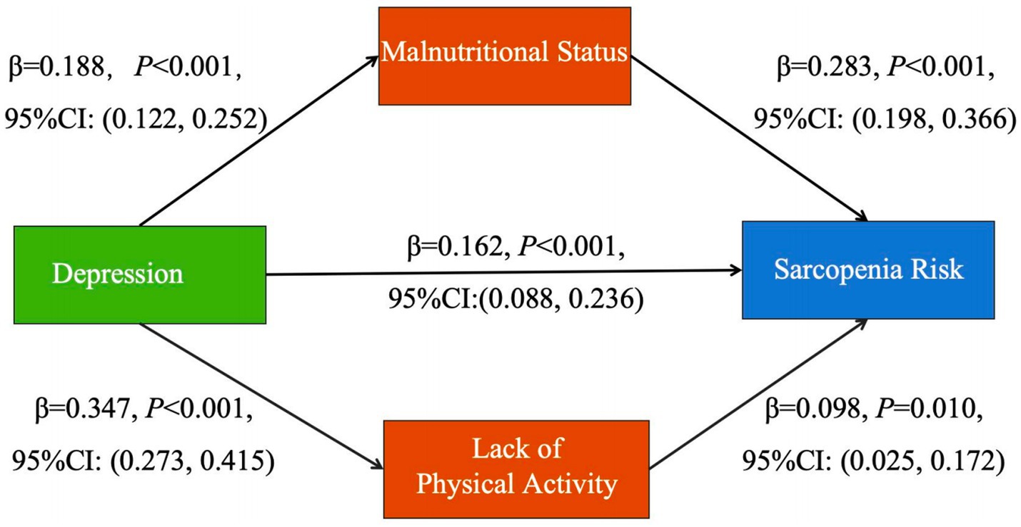 Flowchart illustrating the relationships between depression, malnutritional status, lack of physical activity, and sarcopenia risk. Paths show statistical significance with beta coefficients and confidence intervals: depression to malnutrition (β=0.188), lack of activity (β=0.347); malnutrition to sarcopenia (β=0.283); lack of activity to sarcopenia (β=0.098).