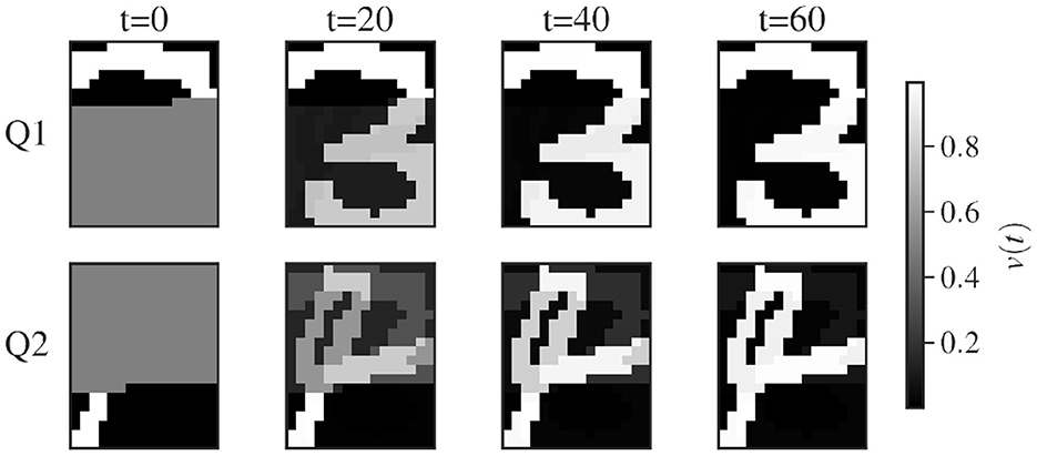 Two rows of four grayscale images each, labeled Q1 and Q2, show changes over time (t=0, t=20, t=40, t=60). Each image depicts different patterns of varying shades, from black to white, with a gradient scale on the right indicating values from 0.2 to 0.8.