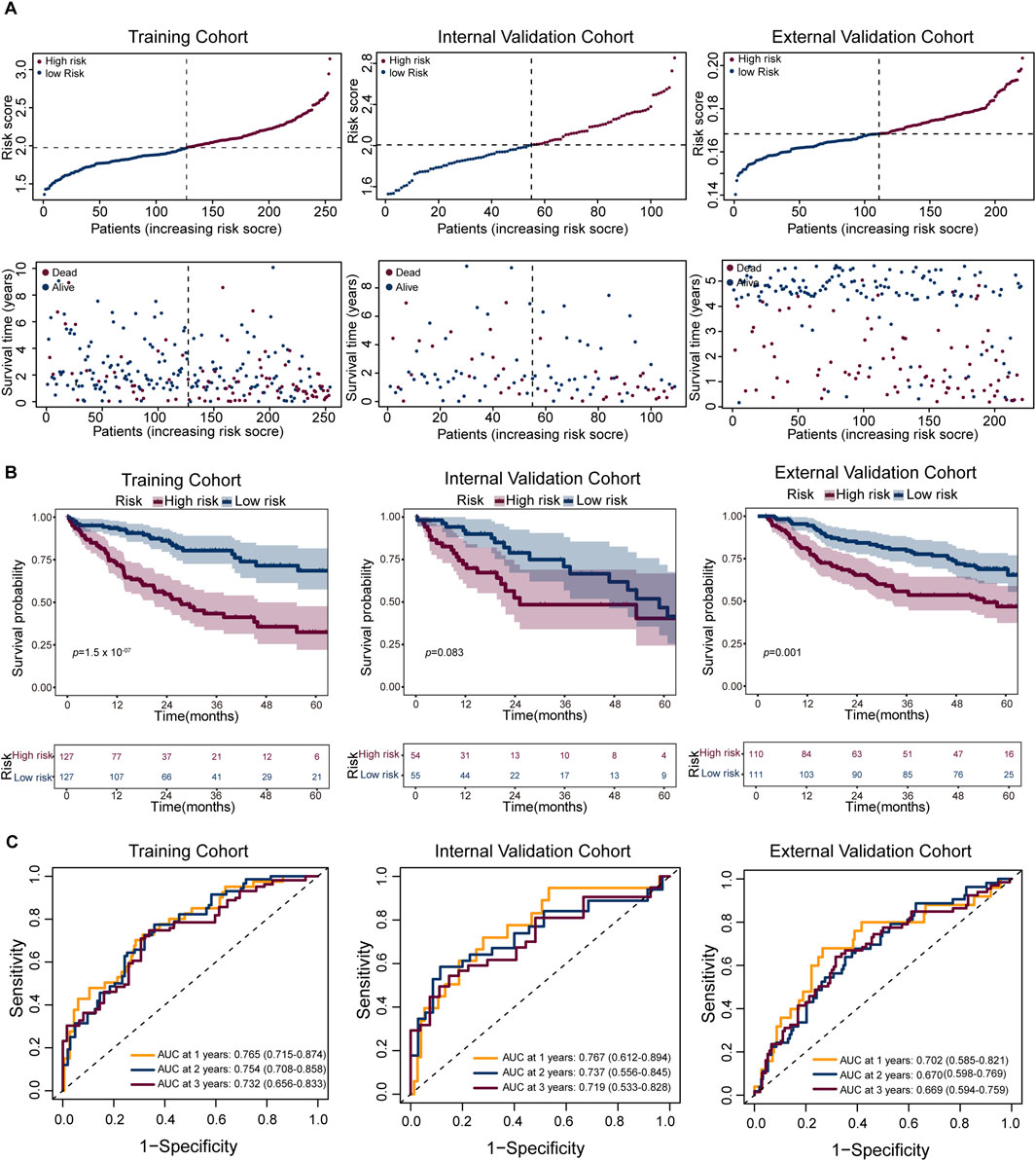 Figure with three panels displaying data on a cancer study cohort. Panel A shows risk scores and survival times for high and low-risk patients across training, internal validation, and external validation cohorts, with distinct scatter points indicating survival status. Panel B illustrates Kaplan-Meier survival curves for high versus low-risk groups, showing probabilities over time with p-values. Panel C presents ROC curves for sensitivity versus 1-specificity, detailing the area under the curve (AUC) at one, two, and three years for each cohort.