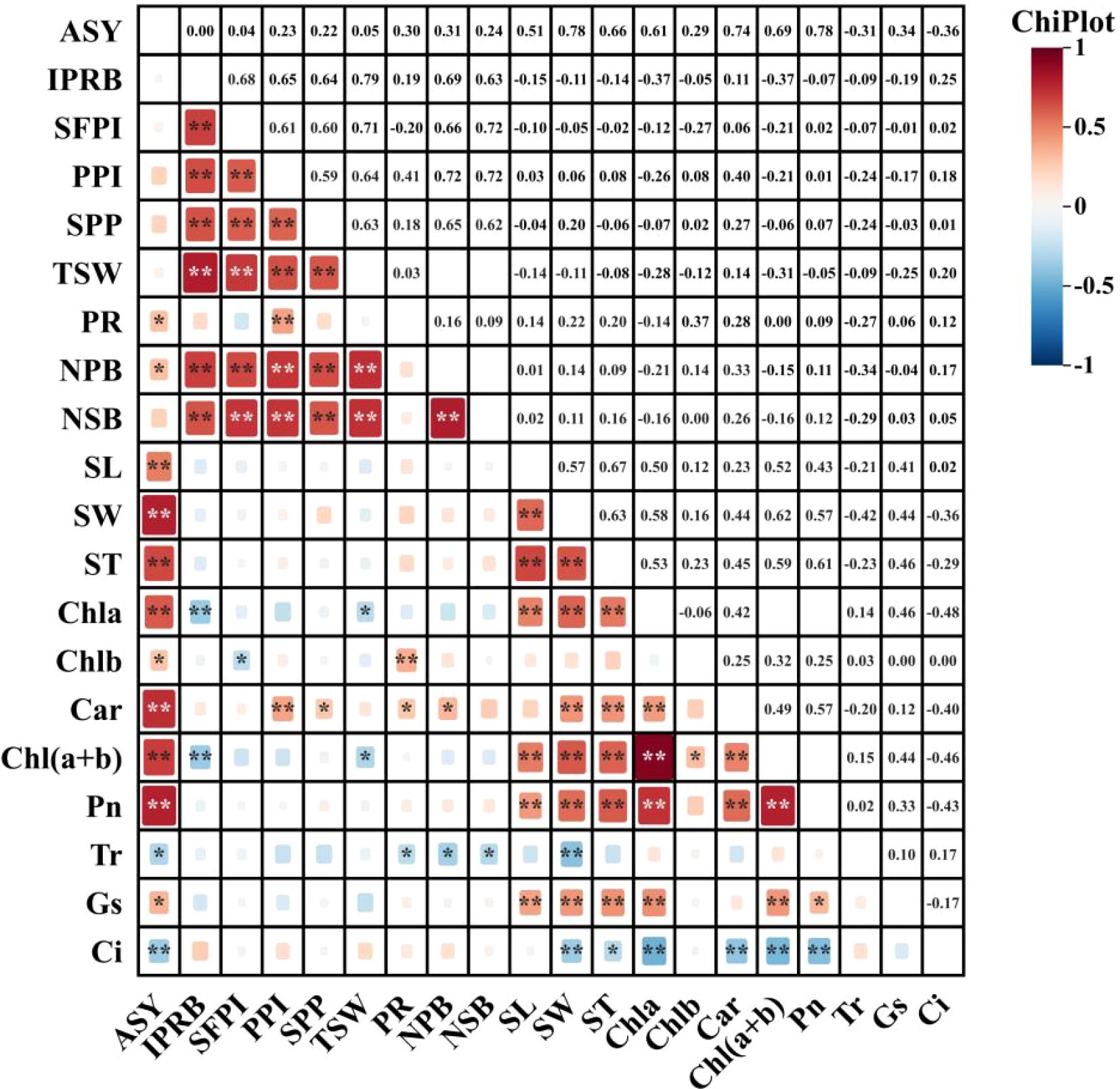 Correlation matrix displaying relationships among various variables, color-coded from red to blue to indicate positive and negative correlations respectively. Strength of correlation is marked by color intensity, with numeric values provided in each cell. The scale on the right ranges from negative one to one.
