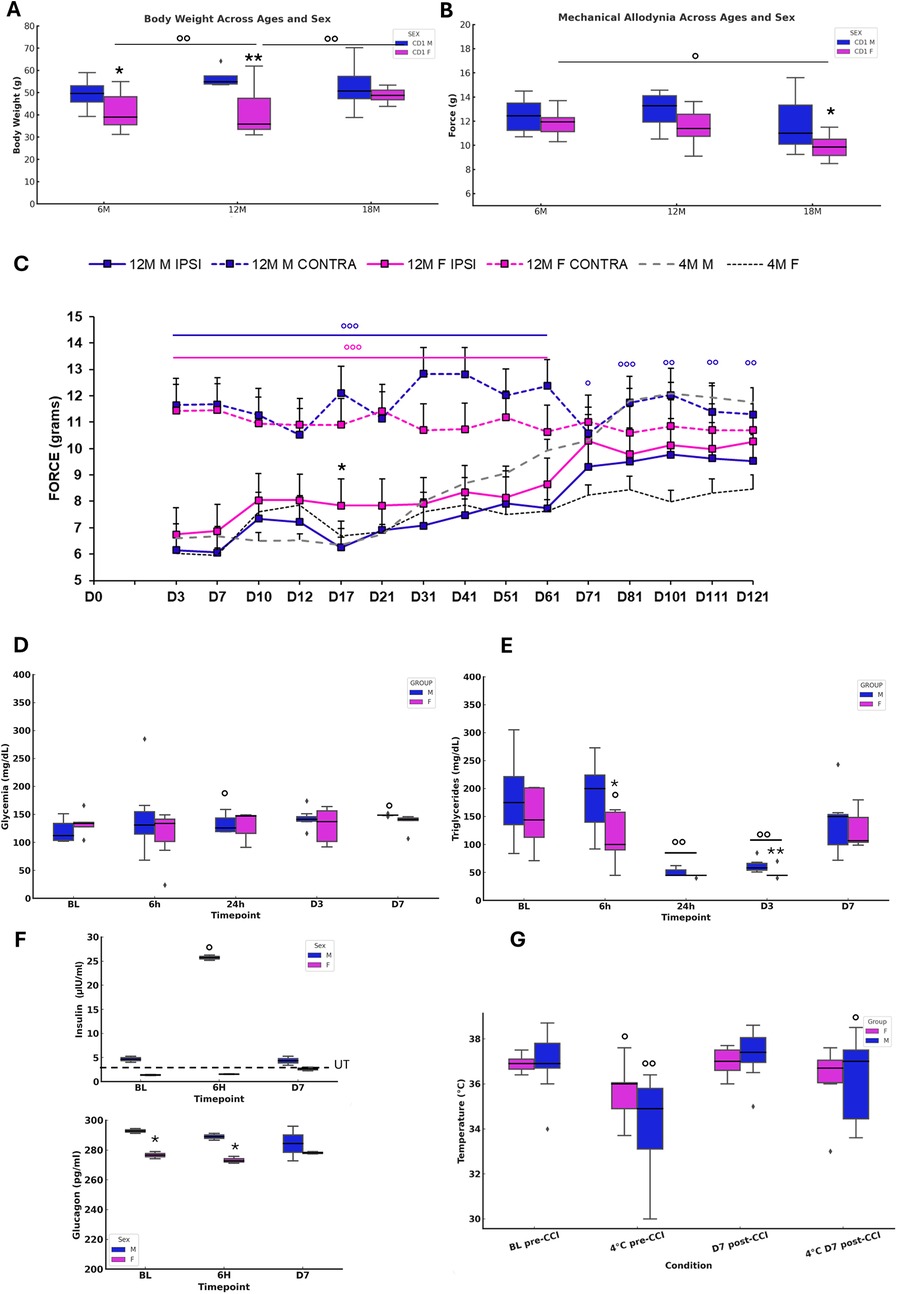 A series of charts exploring various physiological measures. Chart A compares body weight by age and sex, showing significant differences. Chart B shows mechanical allodynia across ages and sex with marked differences. Chart C presents force measurements over time for different groups. Chart D displays cytokine levels at various time points. Chart E illustrates triglyceride levels over time with variations. Chart F includes insulin and glucagon levels at specified time points. Chart G shows temperature under different conditions, highlighting group differences.