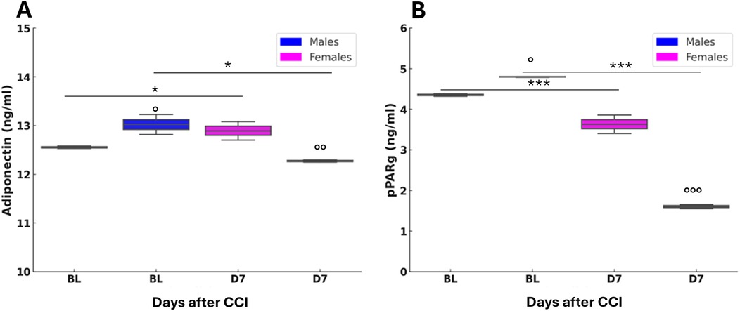 Two box plots, labeled A and B, showing levels of Adiponectin and pPARg in ng/ml, respectively. Data are categorized for males (blue) and females (magenta) across different days after CCI: baseline (BL) and seven days (D7). Statistical significance is indicated by asterisks, with single for p < 0.05, double for p < 0.01, and triple for p < 0.001. Males show higher initial Adiponectin levels, which decrease over time, while females show higher pPARg levels initially with lesser decline.